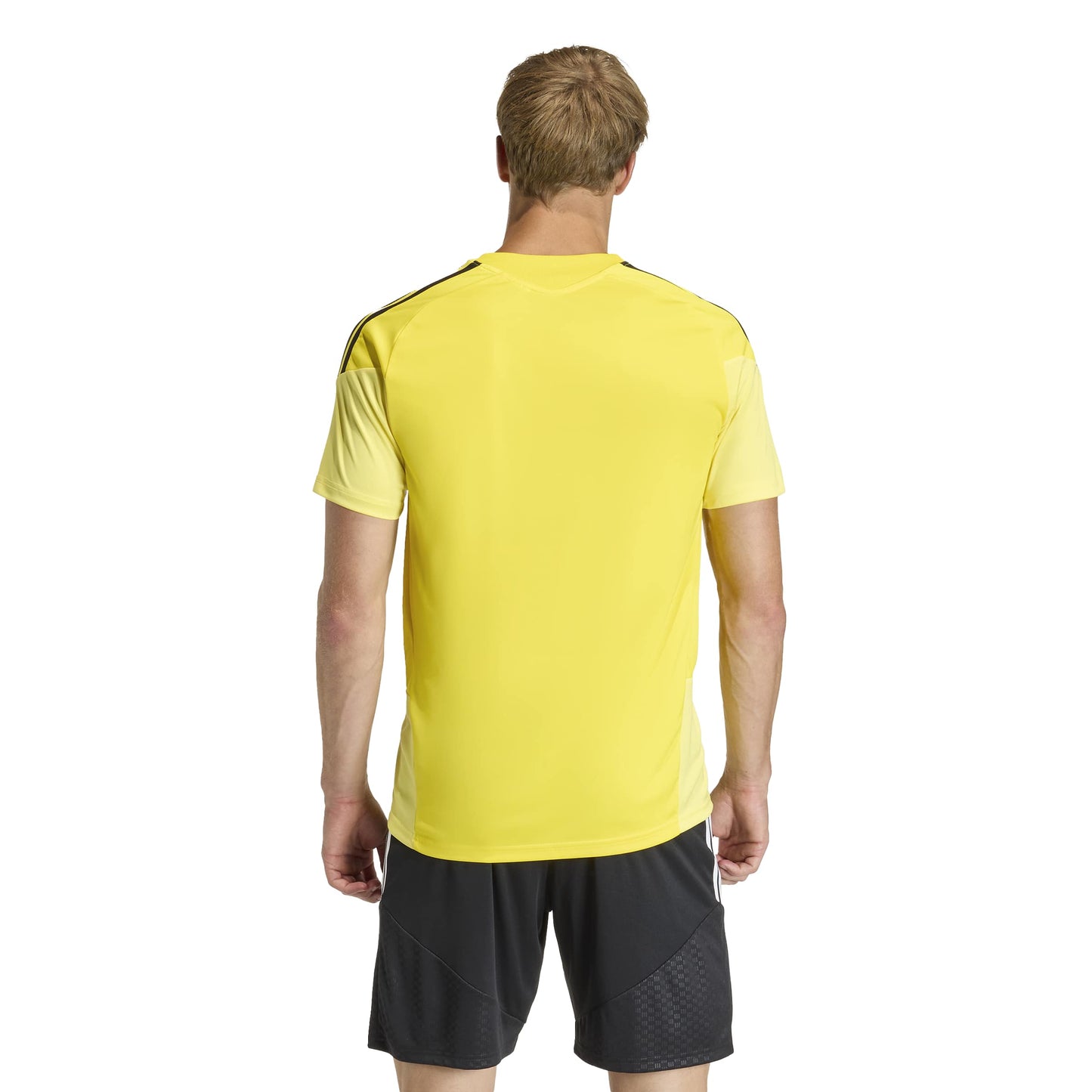 Team Yellow/Black