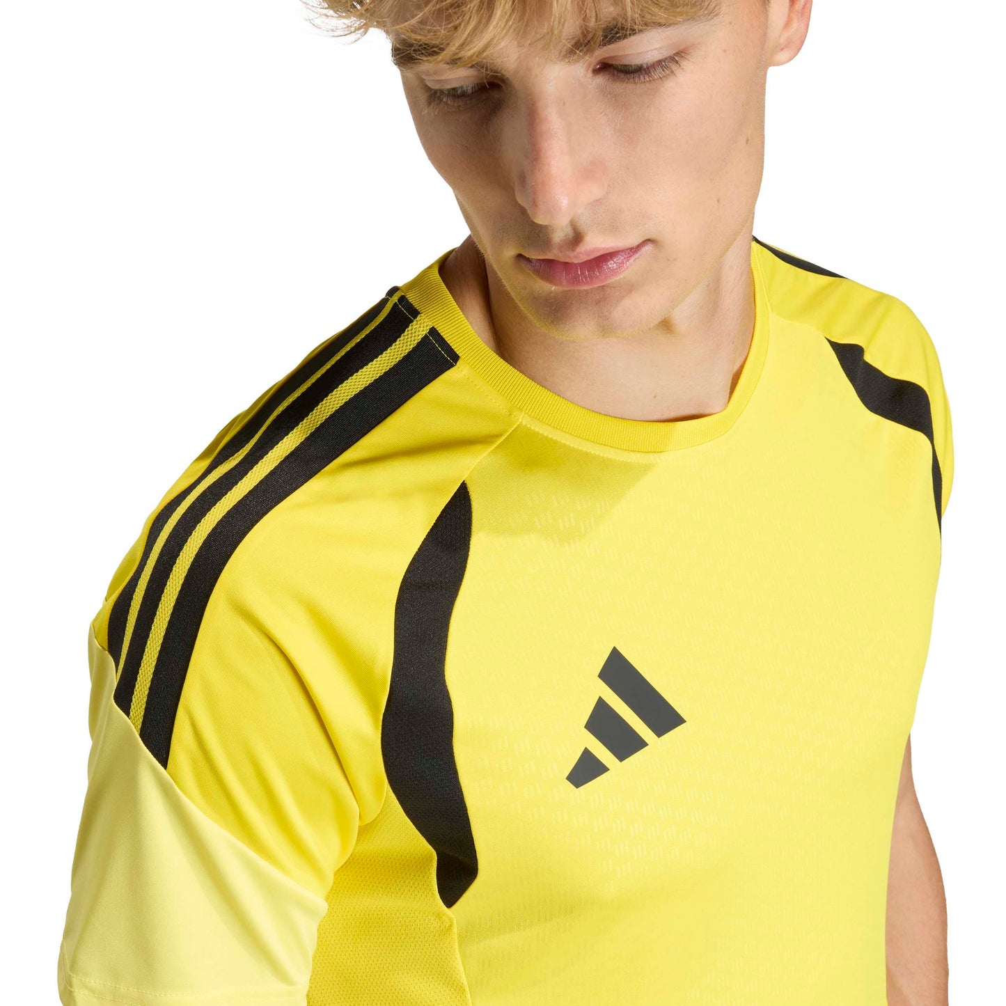 Team Yellow/Black