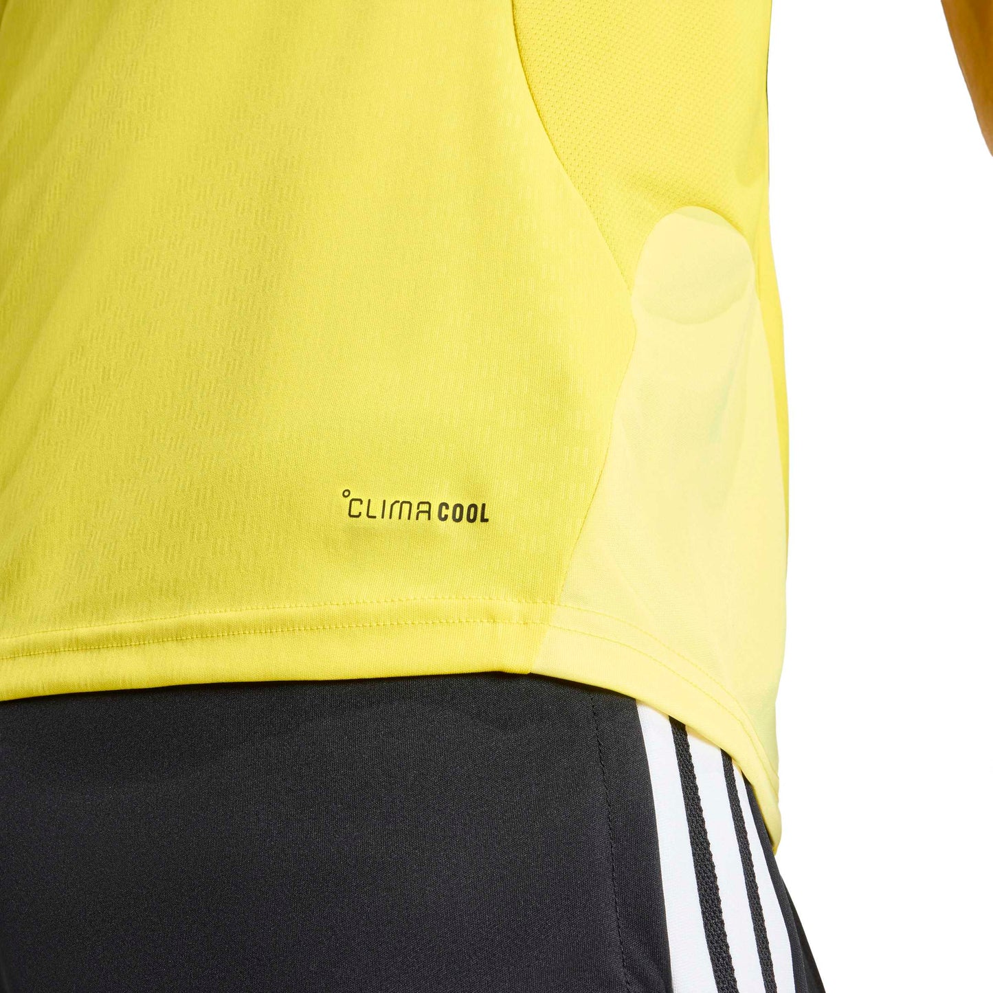 Team Yellow/Black