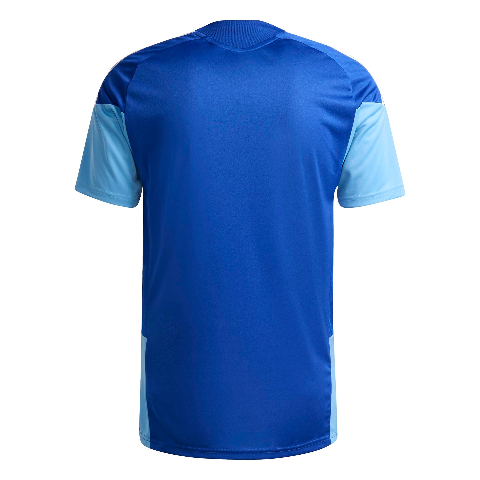 Team Royal Blue/White