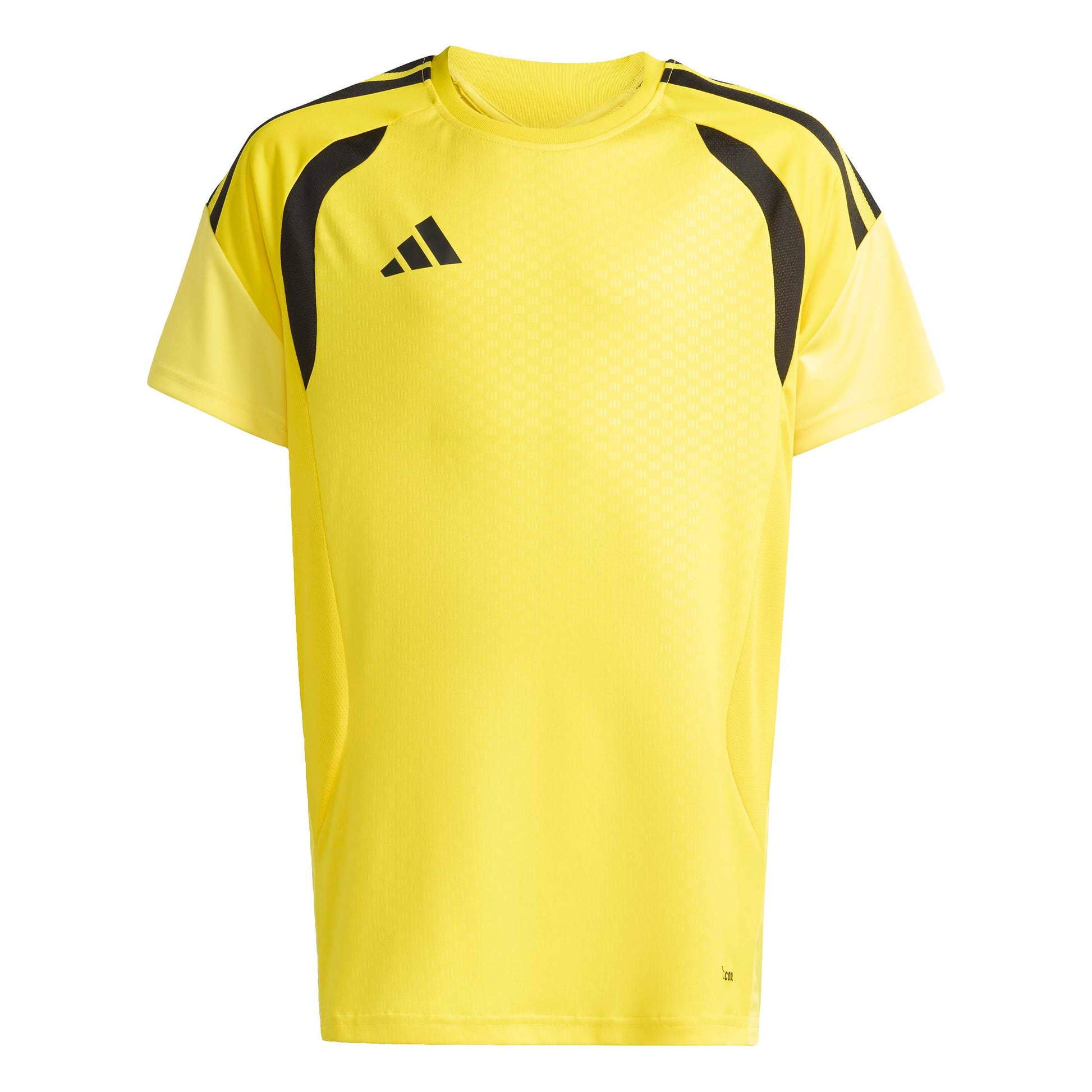 Team Yellow/Black