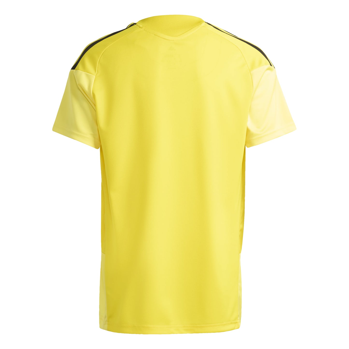 Team Yellow/Black
