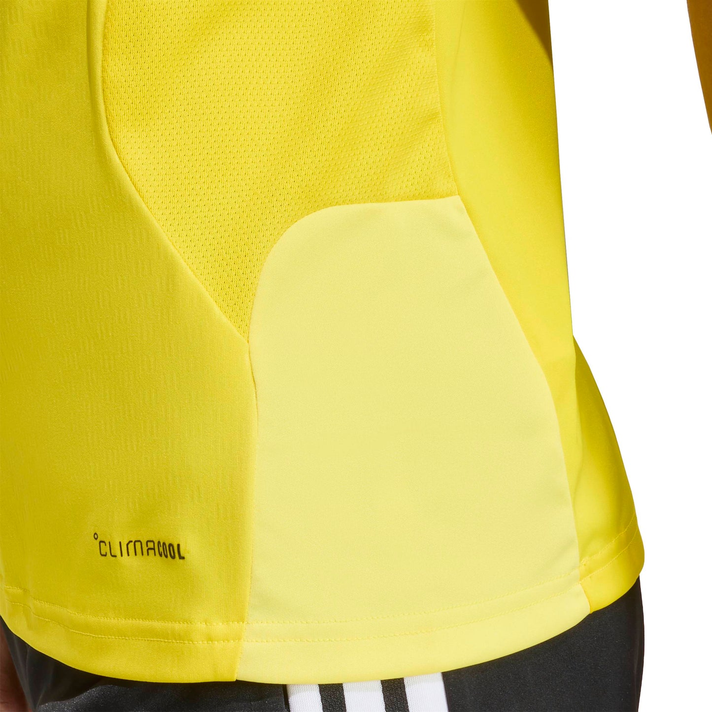 Team Yellow/Black