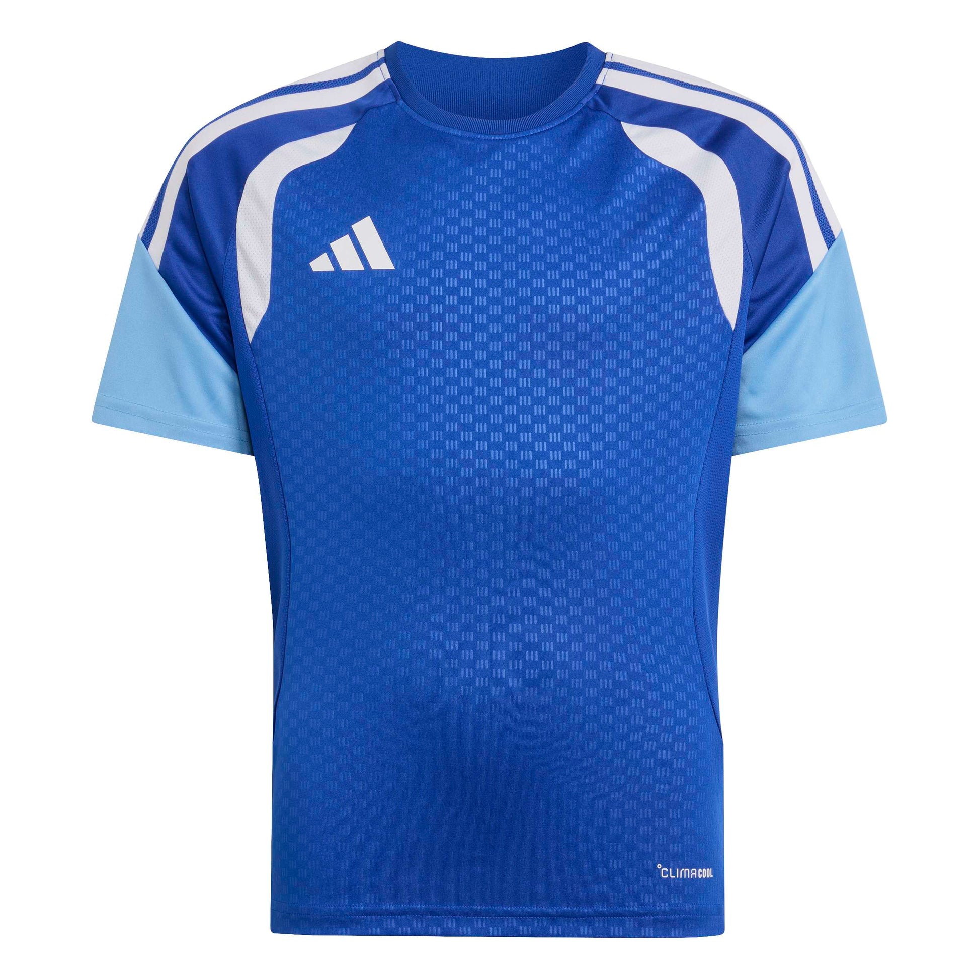 Team Royal Blue