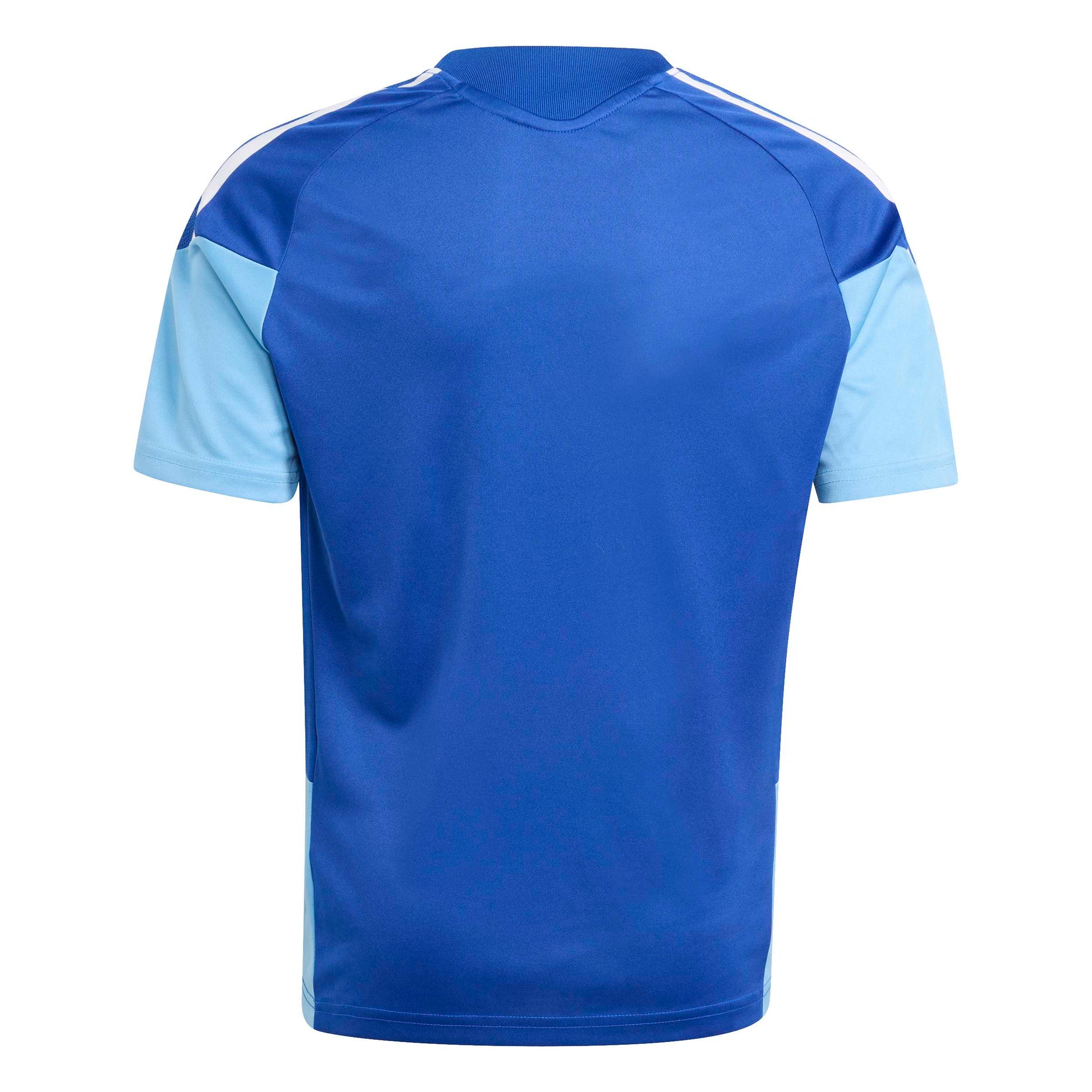 Team Royal Blue