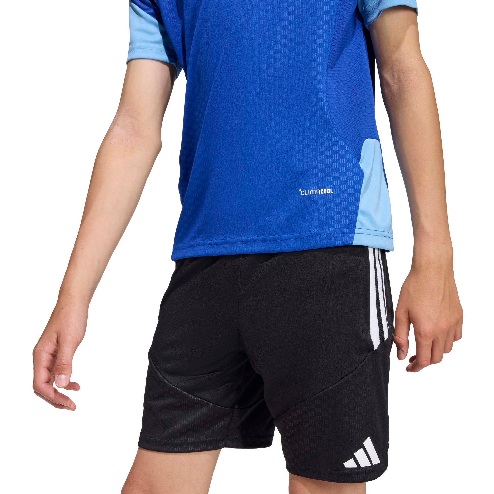 Team Royal Blue