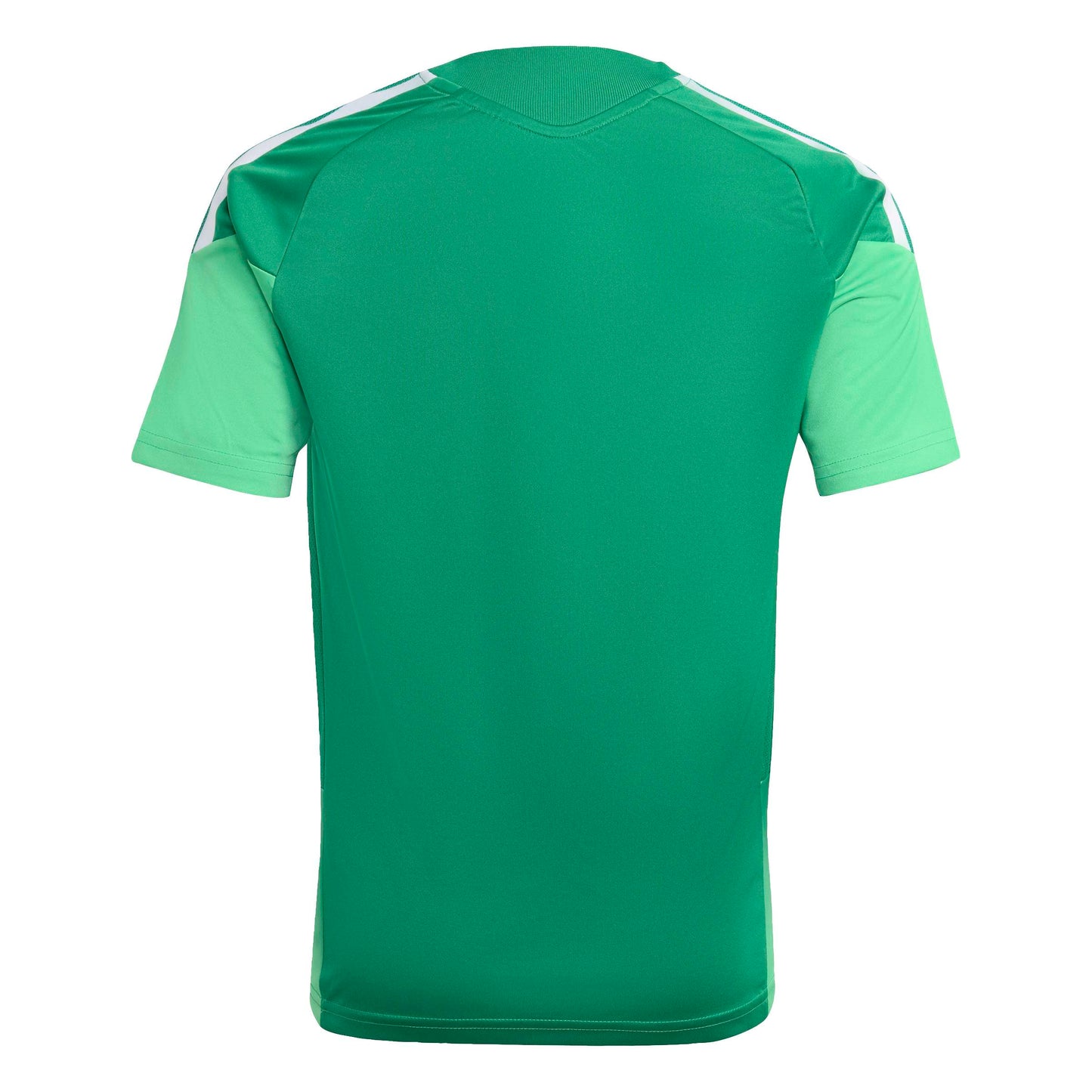 Team Green