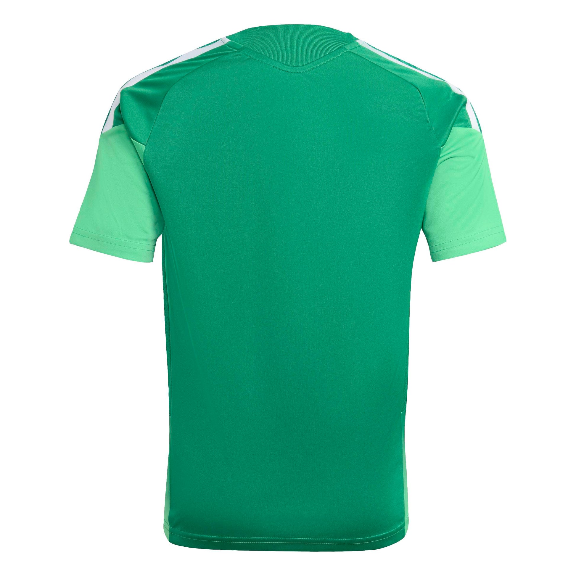 Team Green