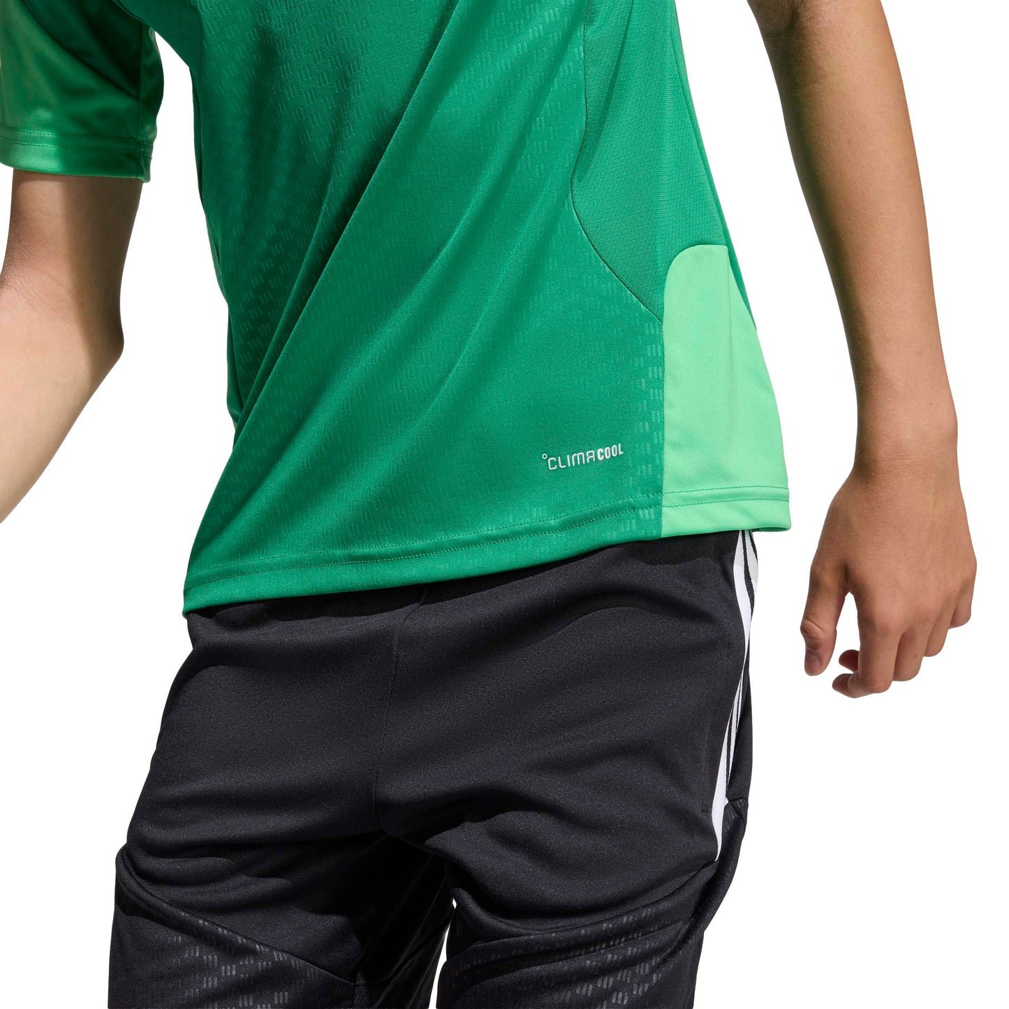 Team Green