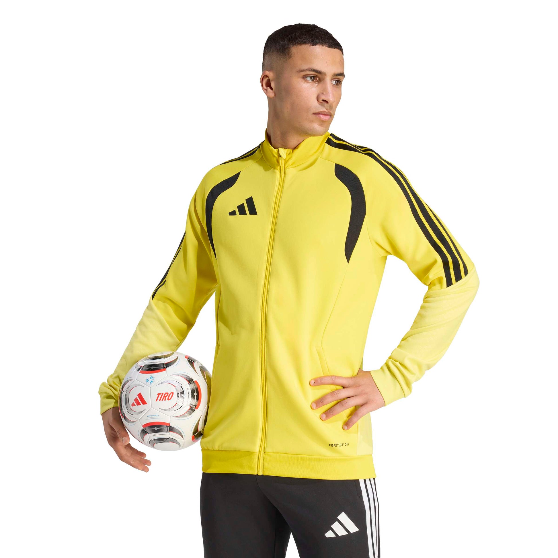 Team Yellow/Black