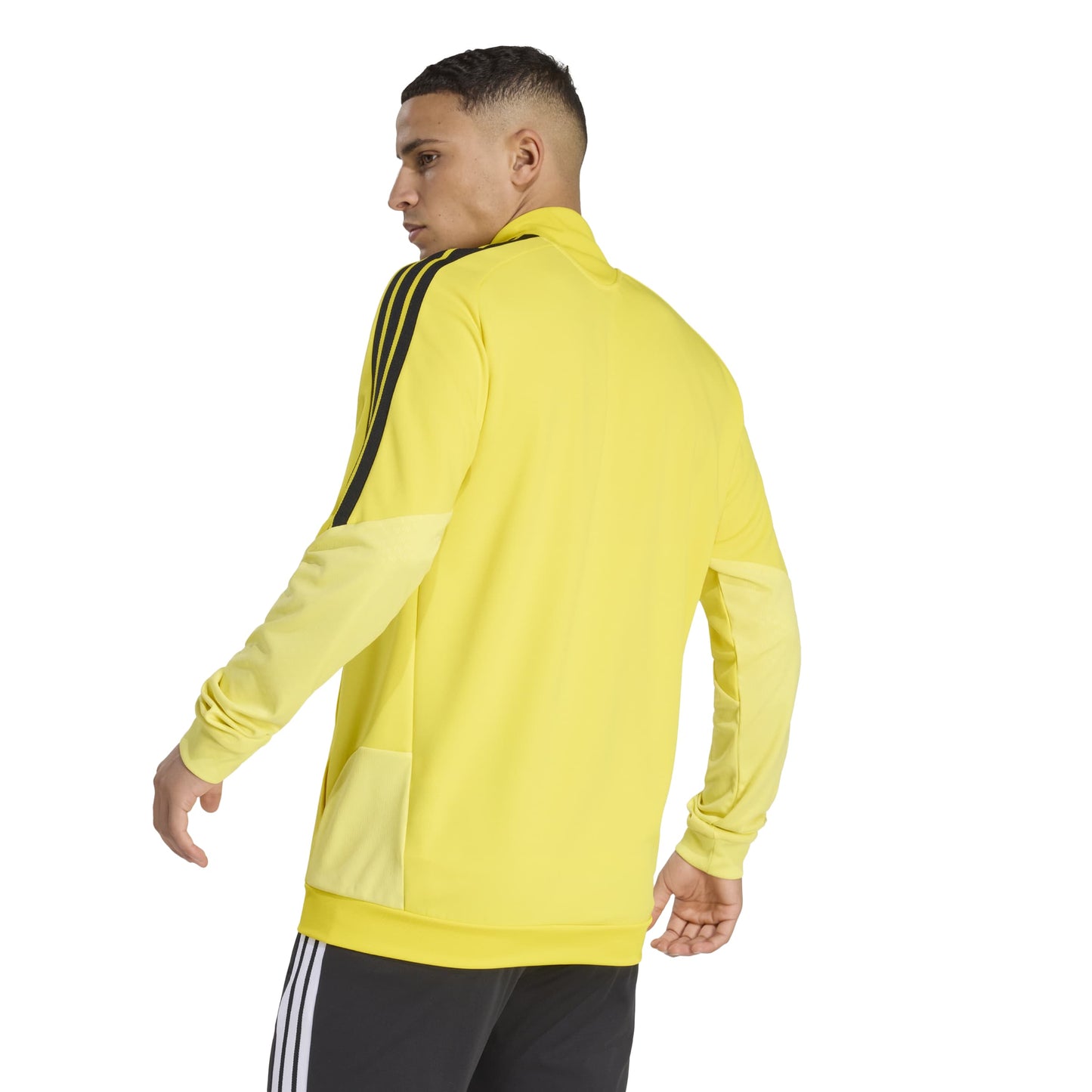 Team Yellow/Black