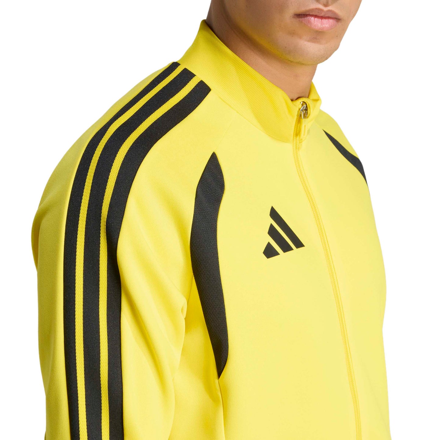 Team Yellow/Black