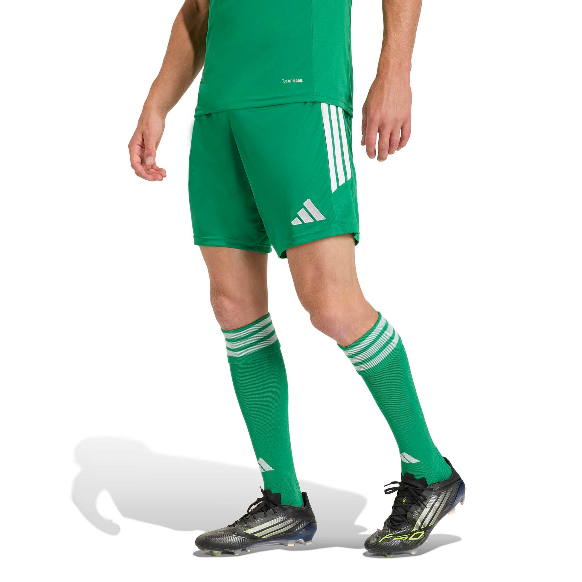 Team Green/White