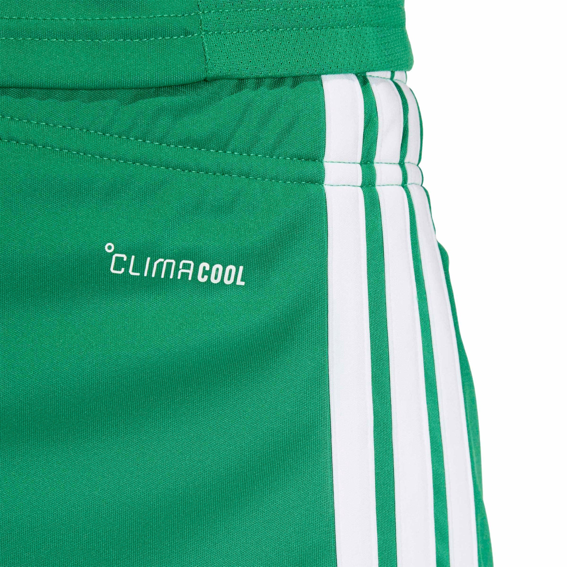 Team Green/White