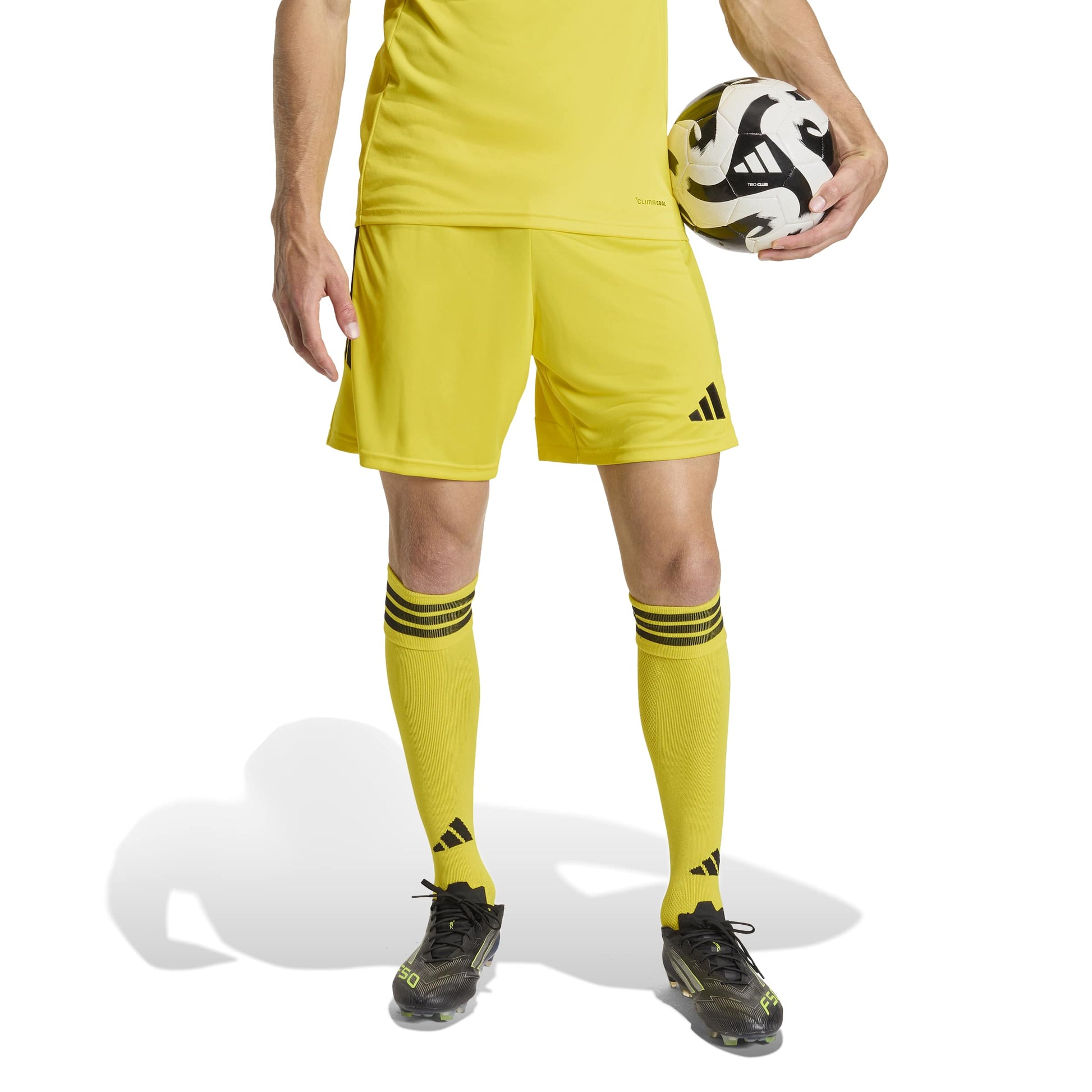 Team Yellow/Black