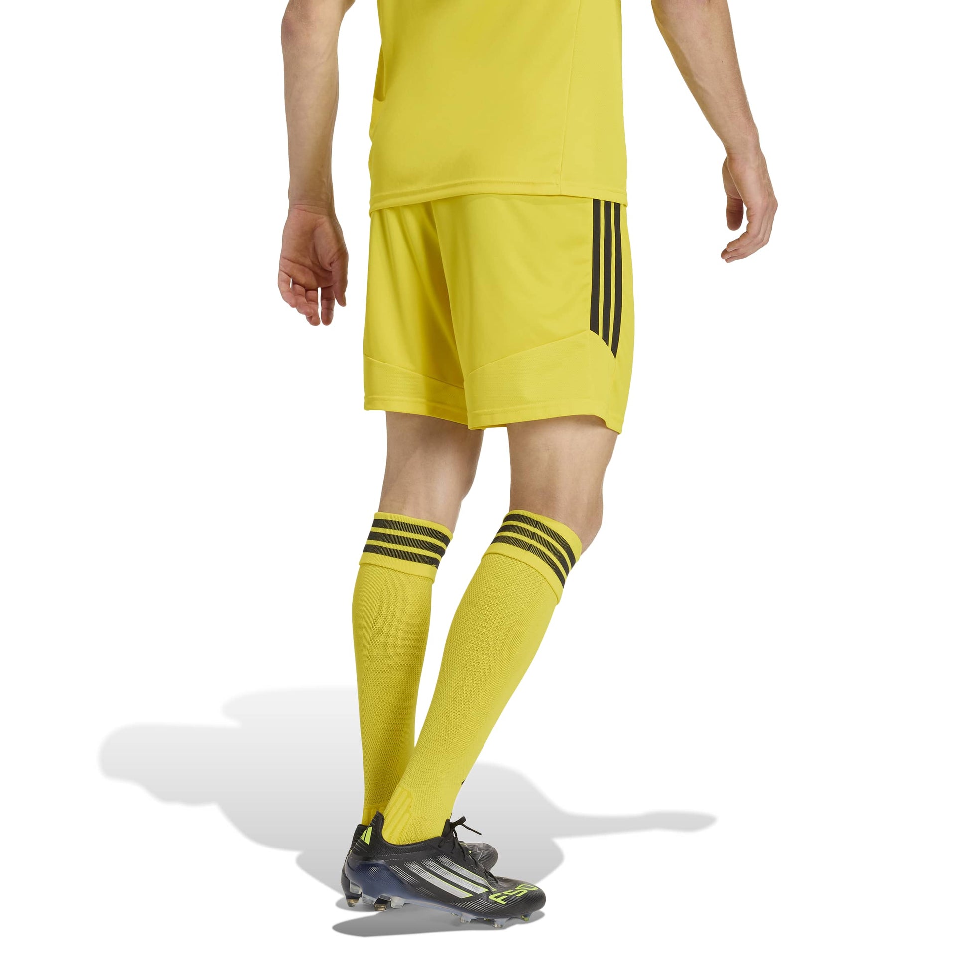 Team Yellow/Black