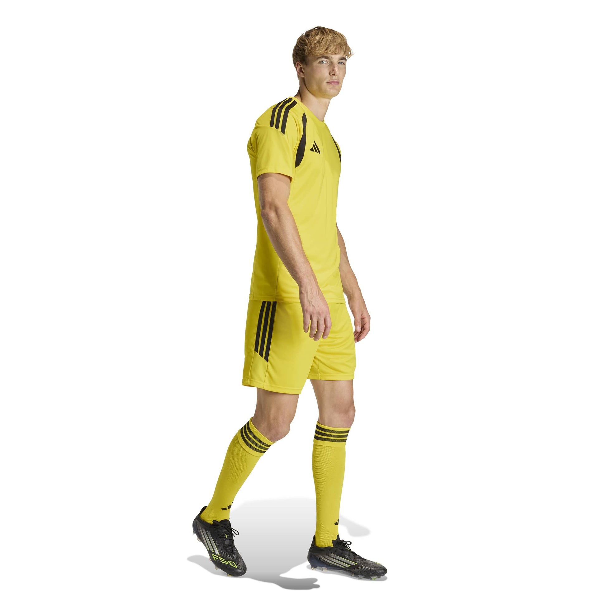 Team Yellow/Black