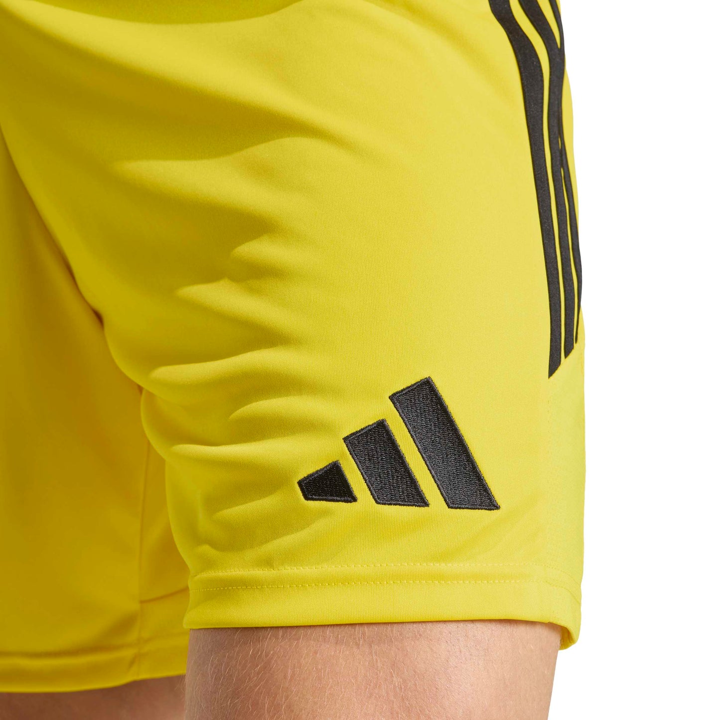 Team Yellow/Black