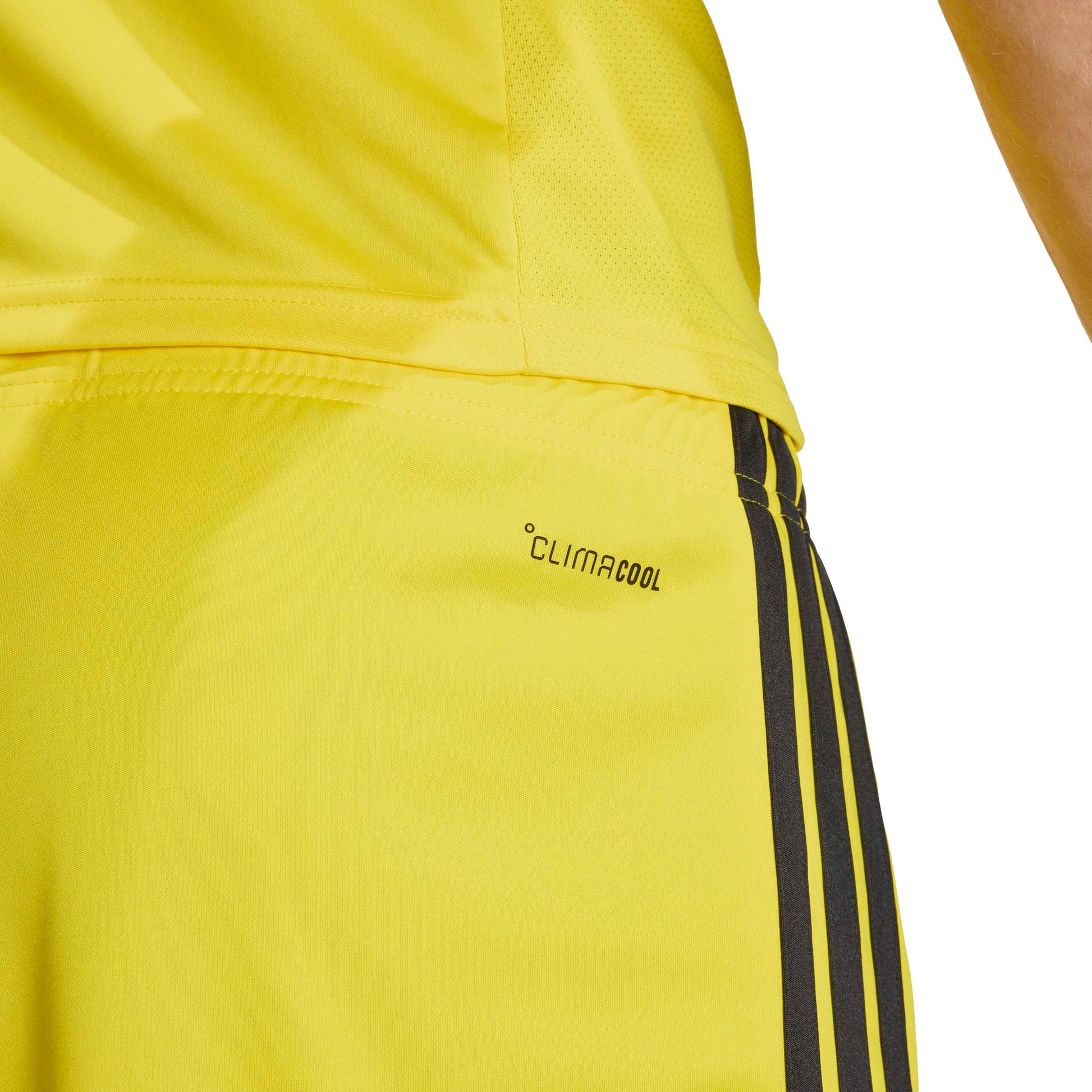 Team Yellow/Black