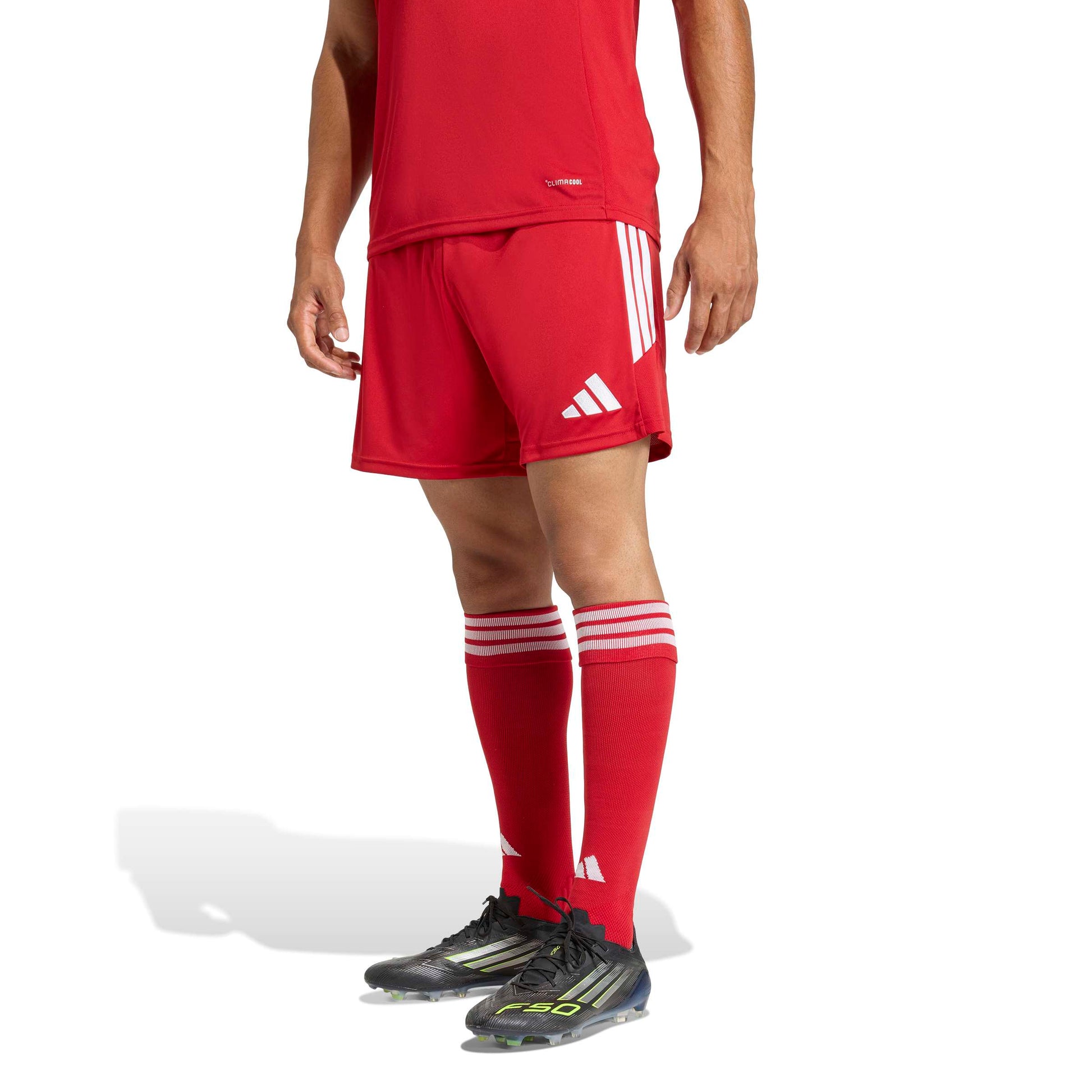 Team Power Red 2/White