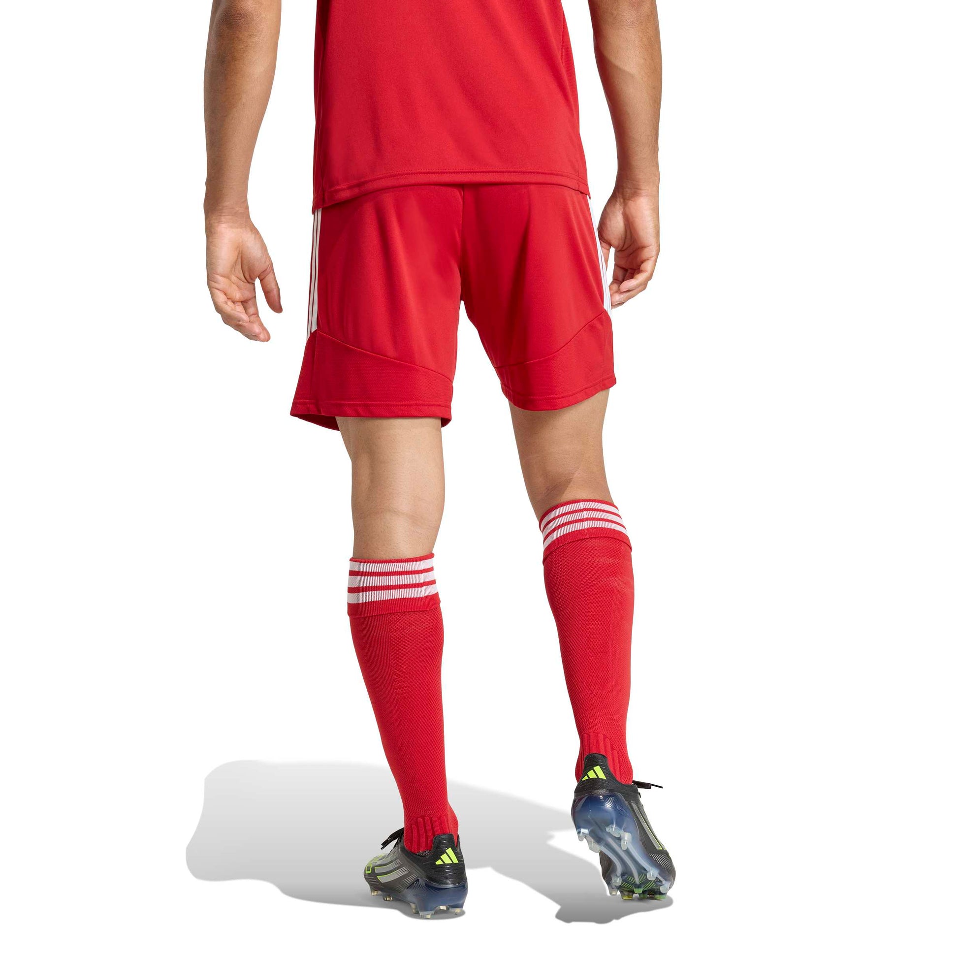 Team Power Red 2/White