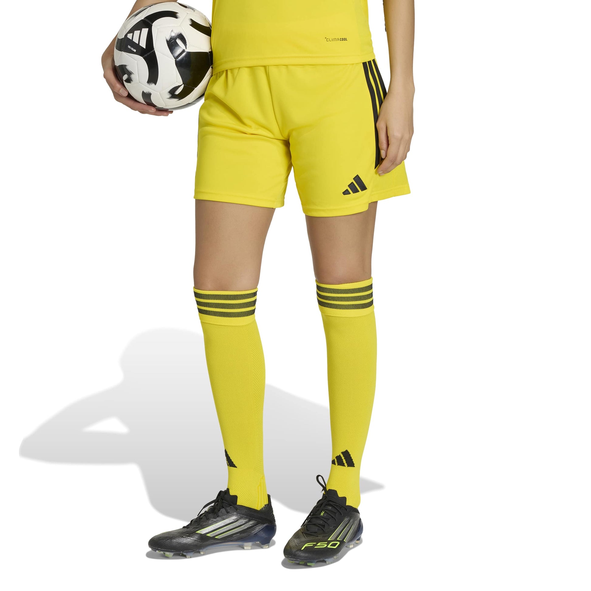 Team Yellow/Black