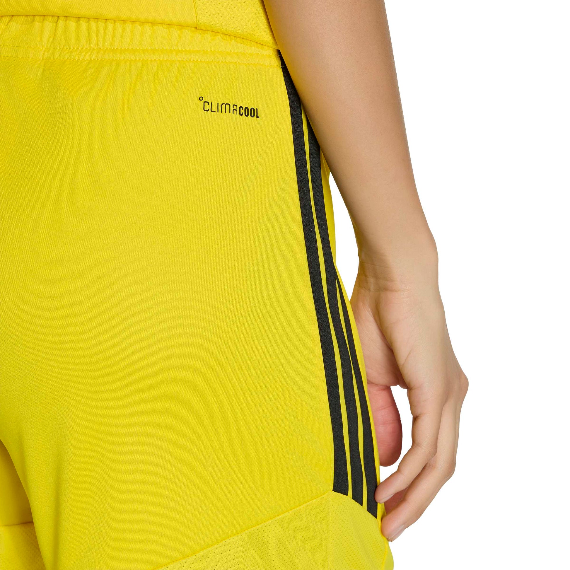 Team Yellow/Black