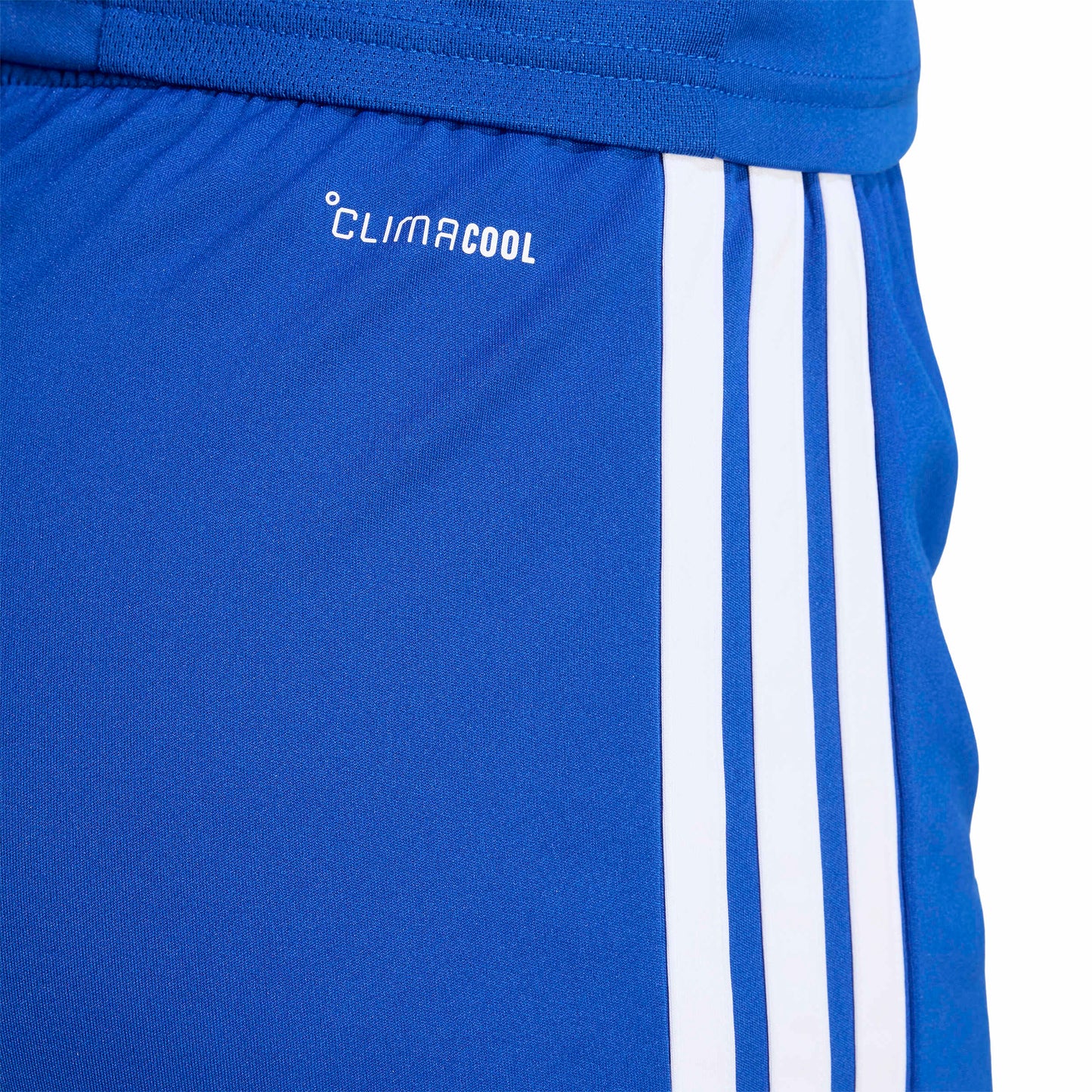 Team Royal Blue/White