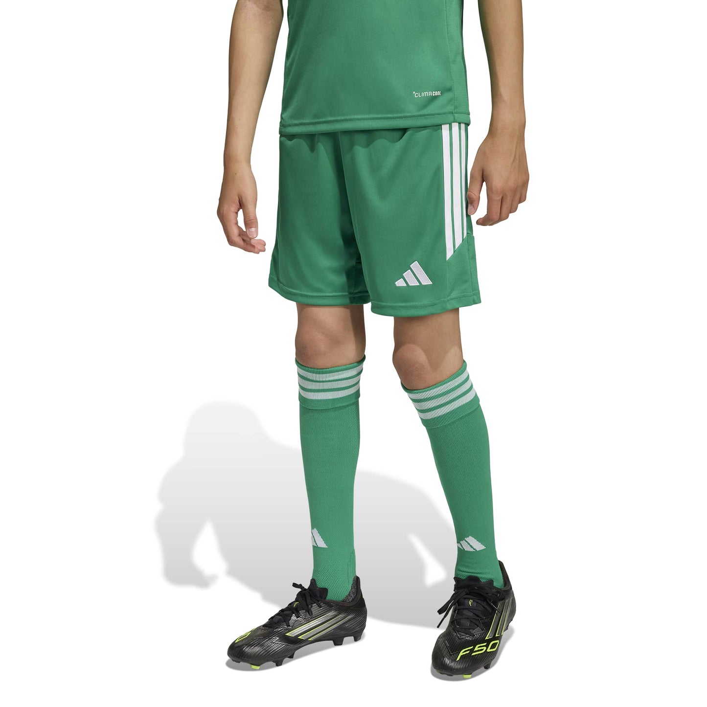 Team Green/White