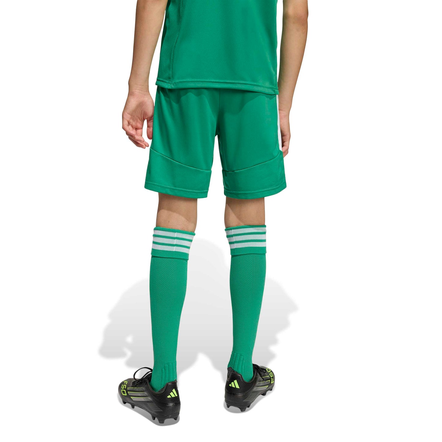 Team Green/White