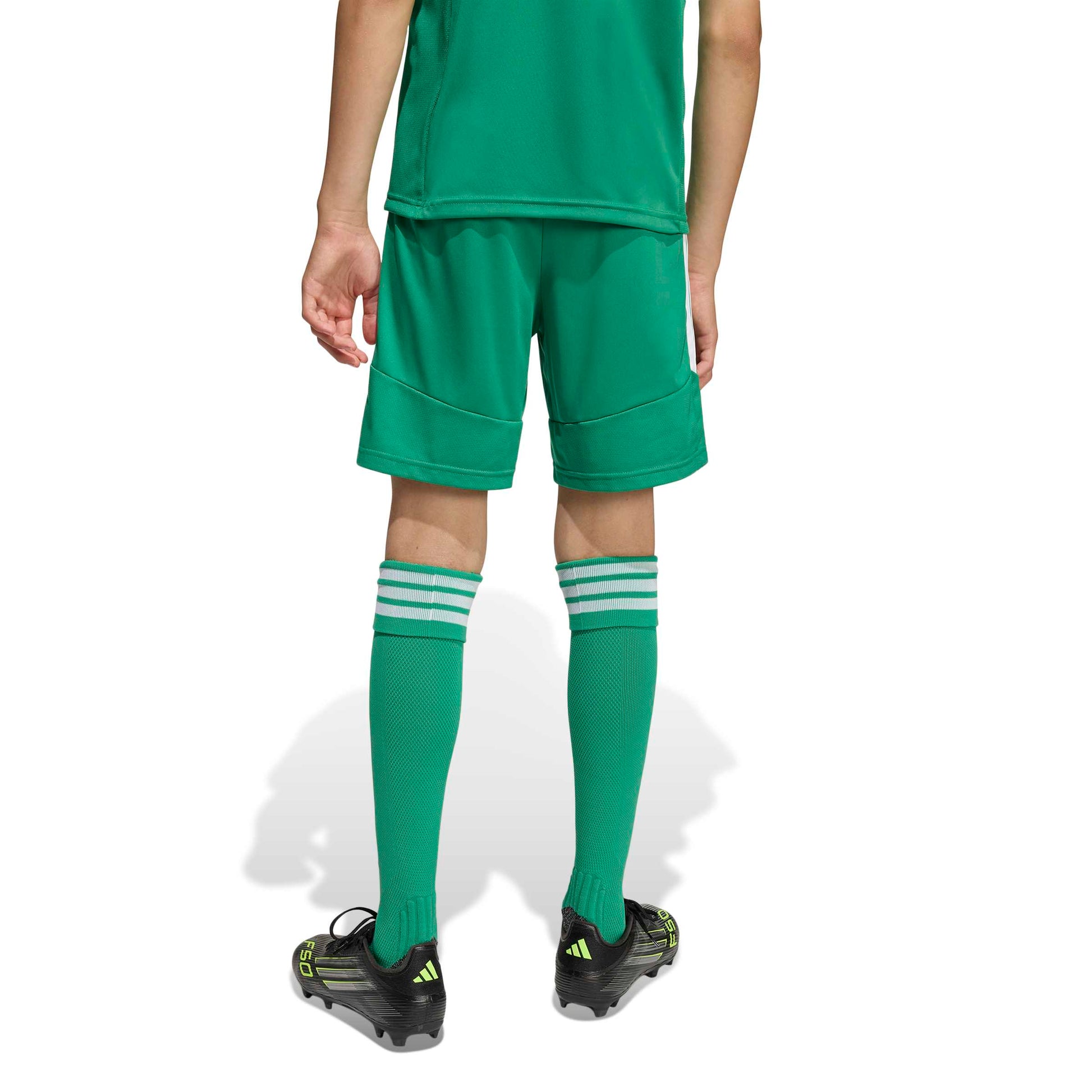 Team Green/White
