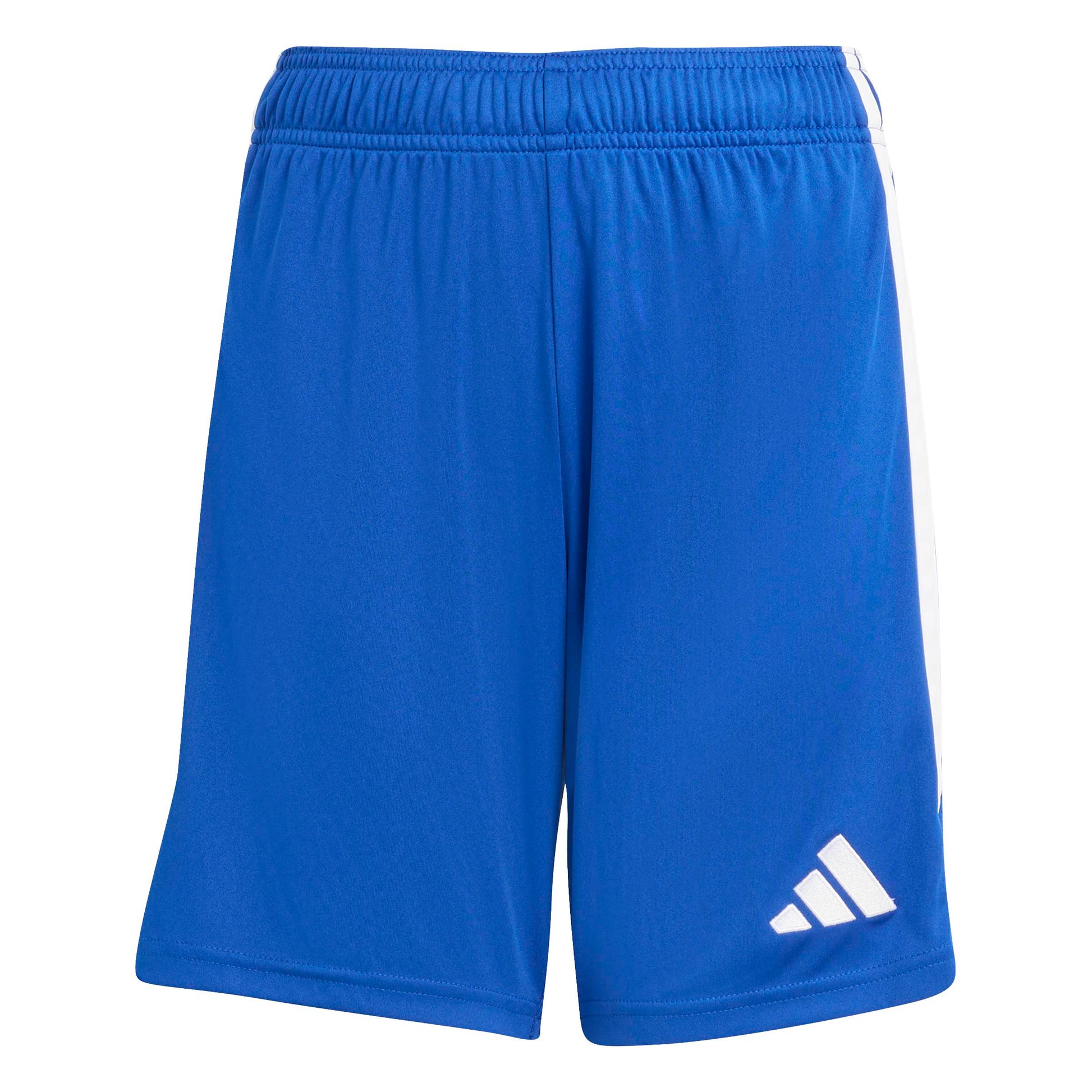 Team Royal Blue/White