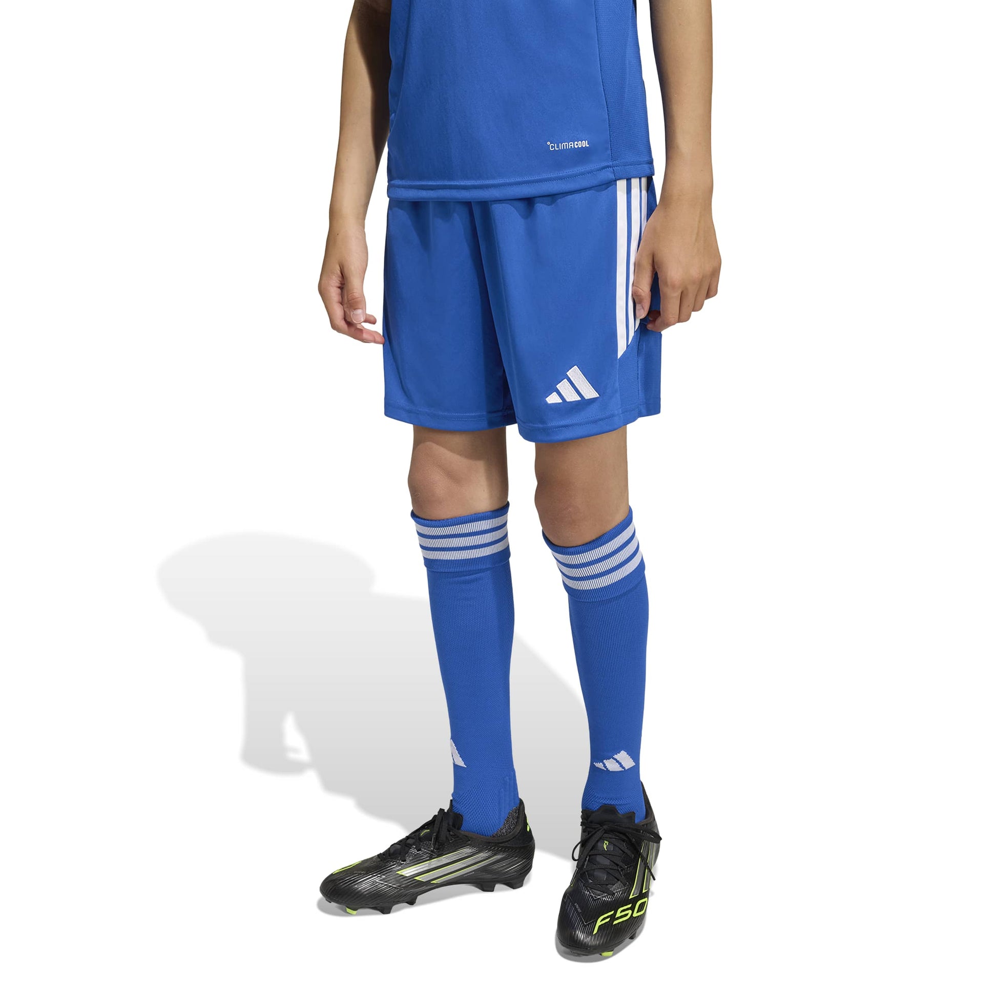 Team Royal Blue/White