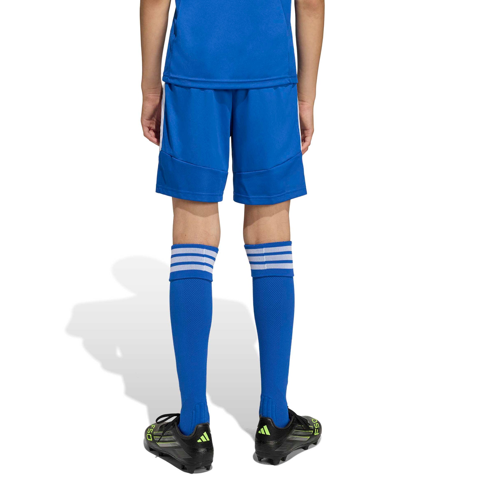 Team Royal Blue/White