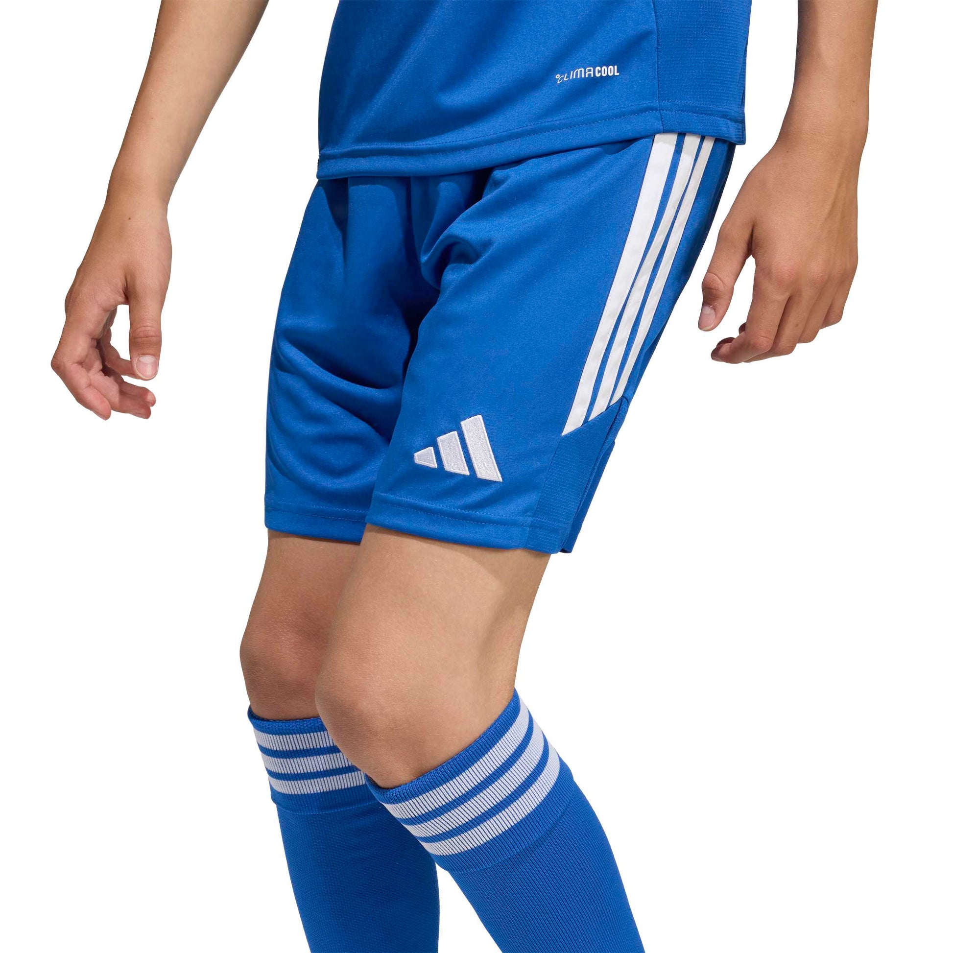 Team Royal Blue/White