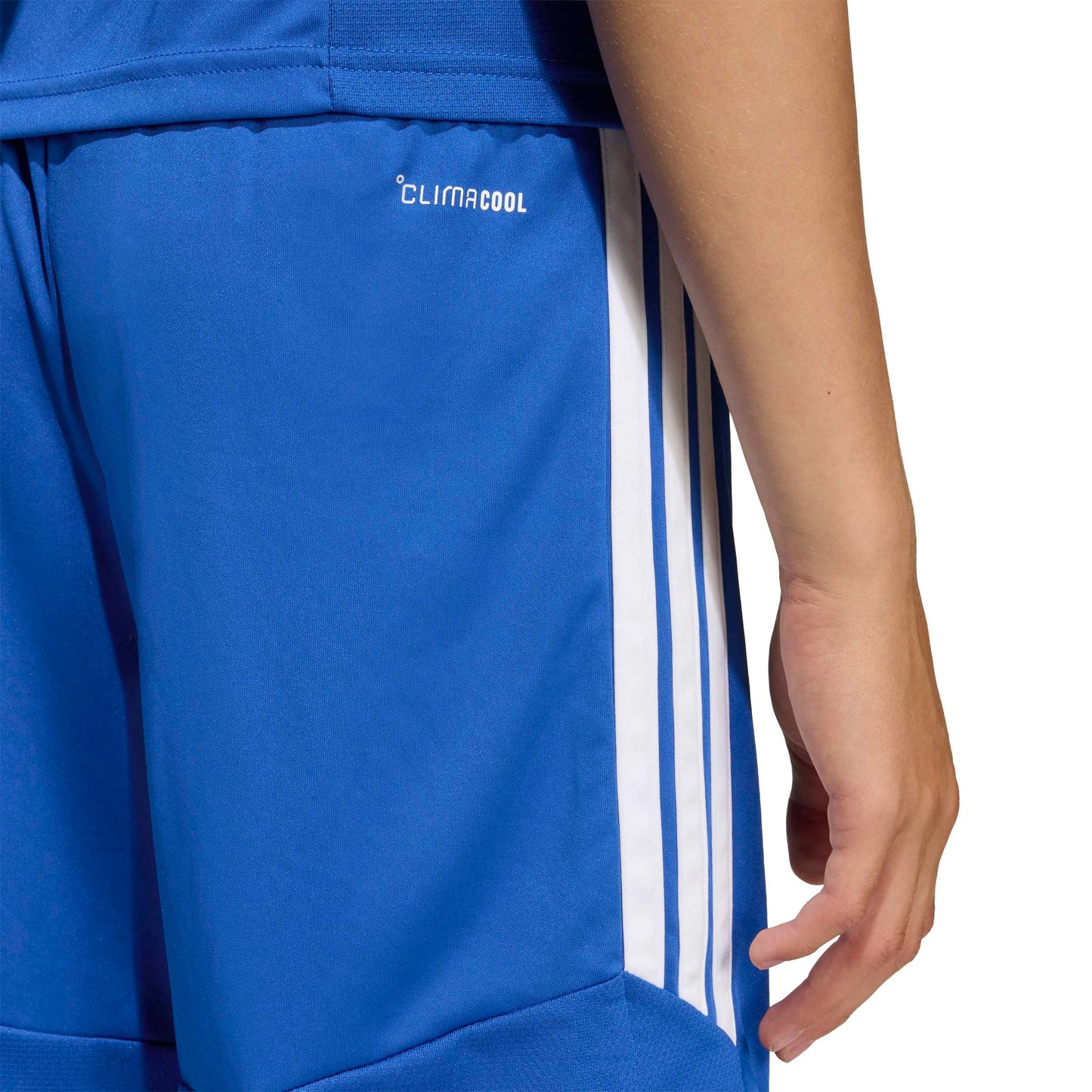 Team Royal Blue/White