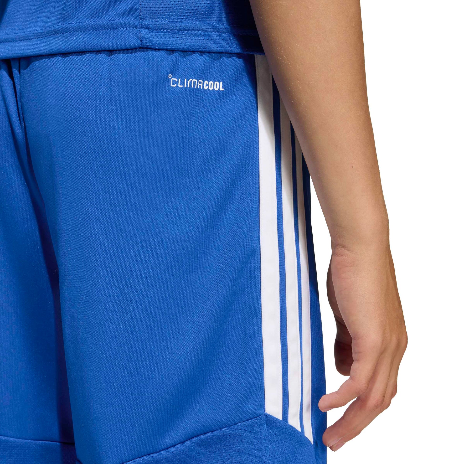 Team Royal Blue/White