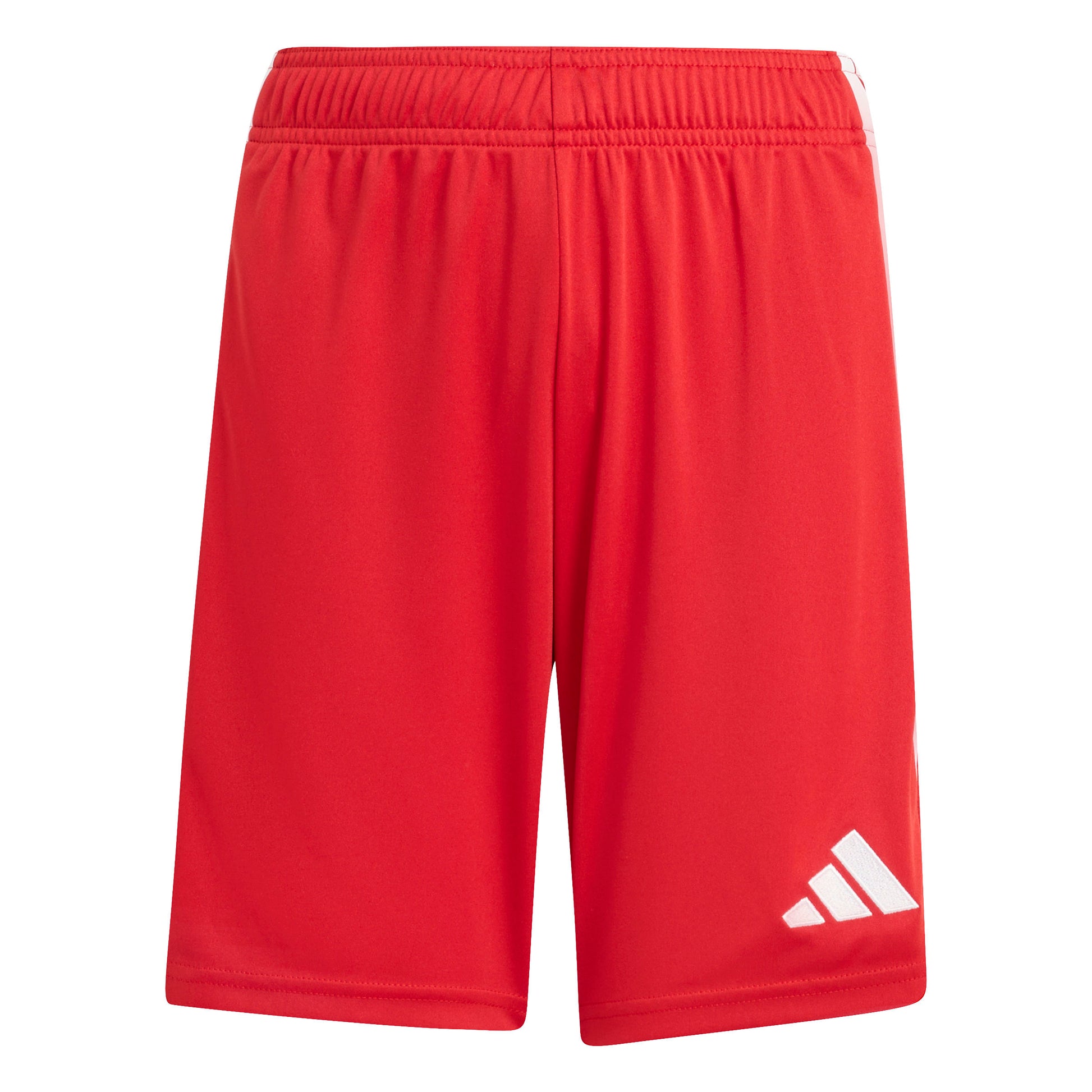 Team Power Red 2/White