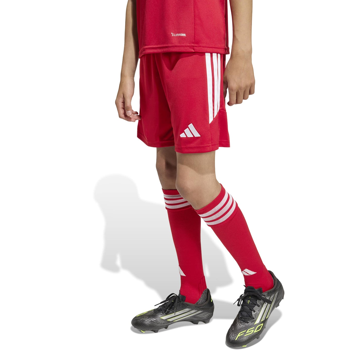Team Power Red 2/White