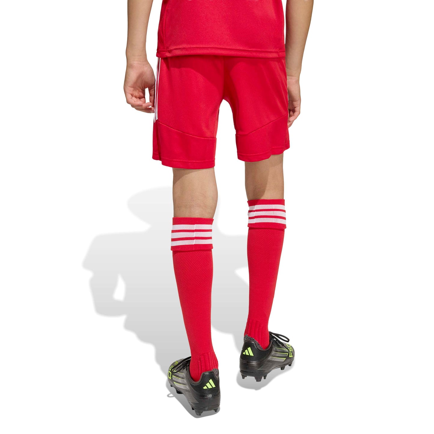 Team Power Red 2/White