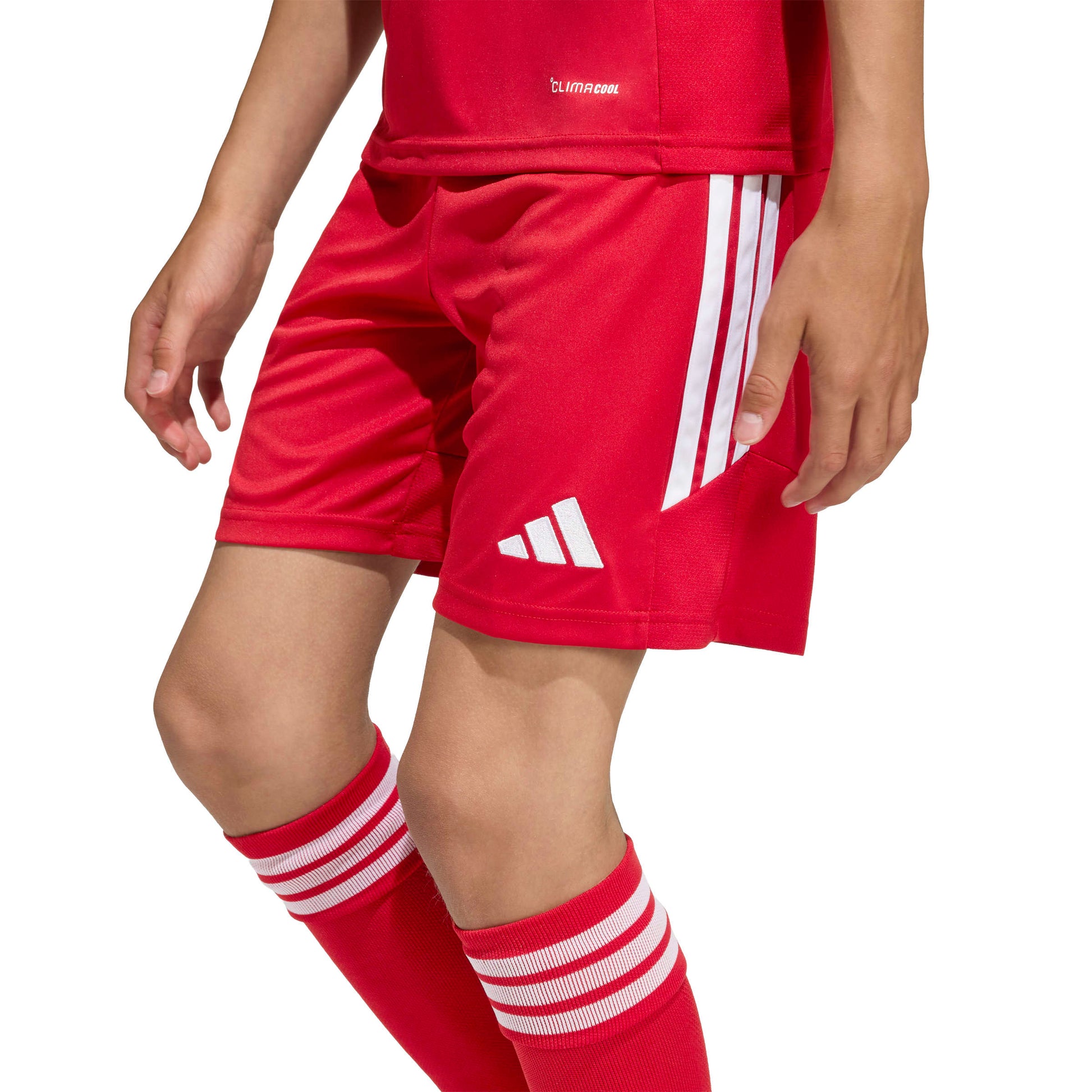 Team Power Red 2/White
