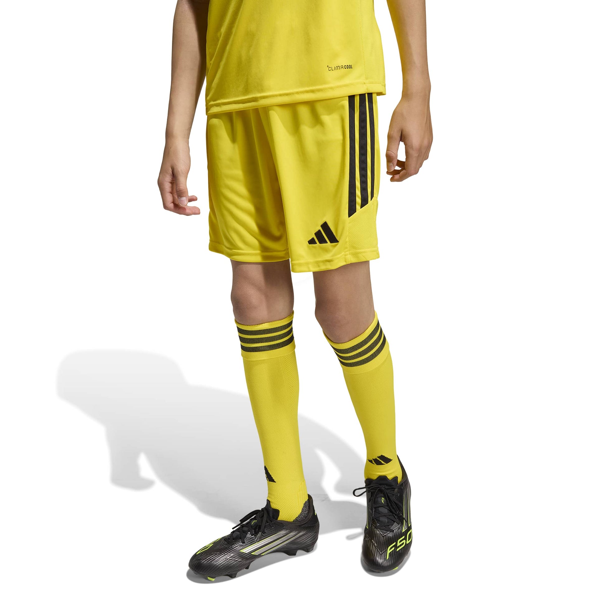 Team Yellow/Black