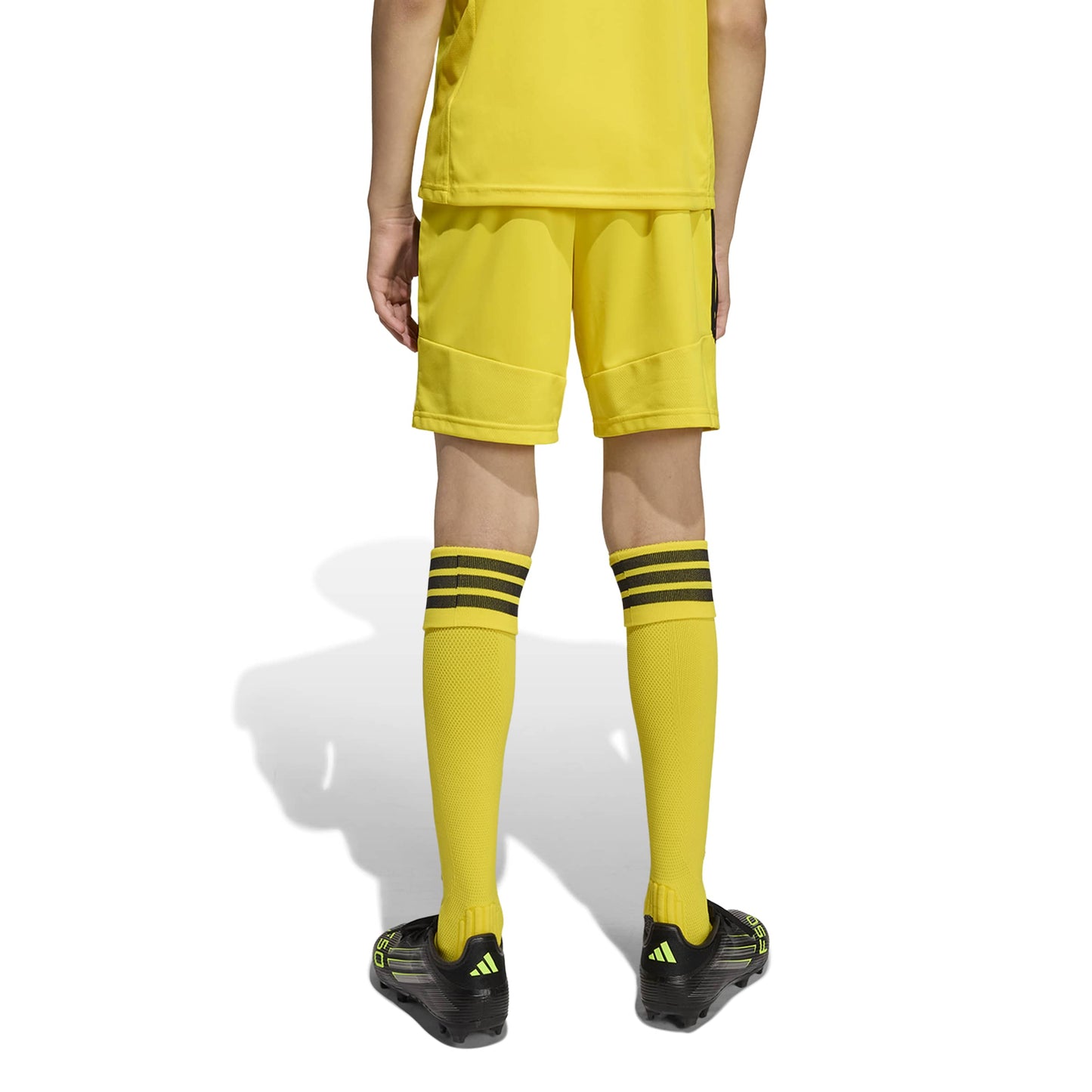 Team Yellow/Black
