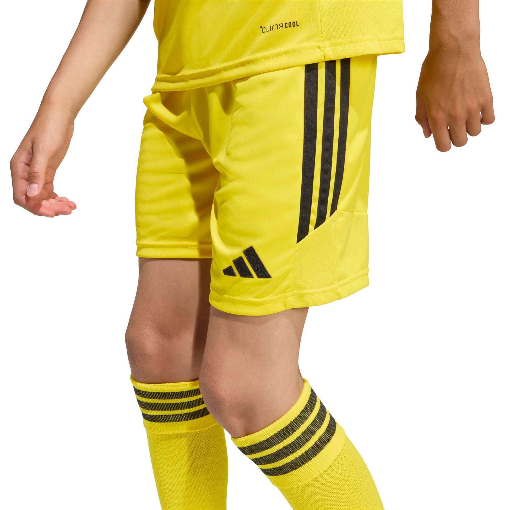 Team Yellow/Black