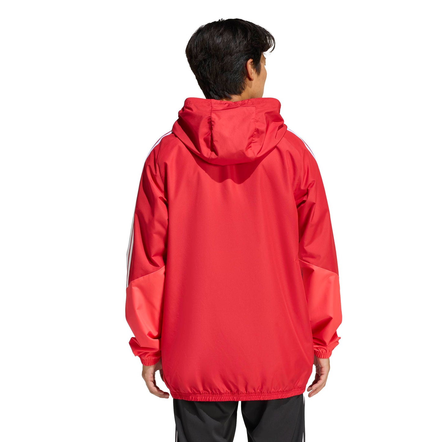 Team Power Red 2/Semi Lucid Red/White