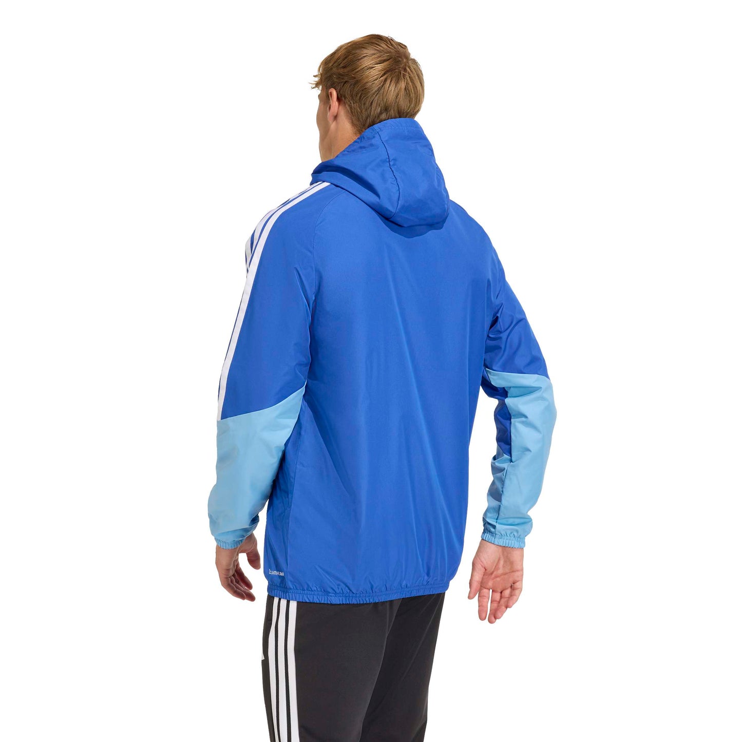 Team Royal Blue/Team Light Blue/White