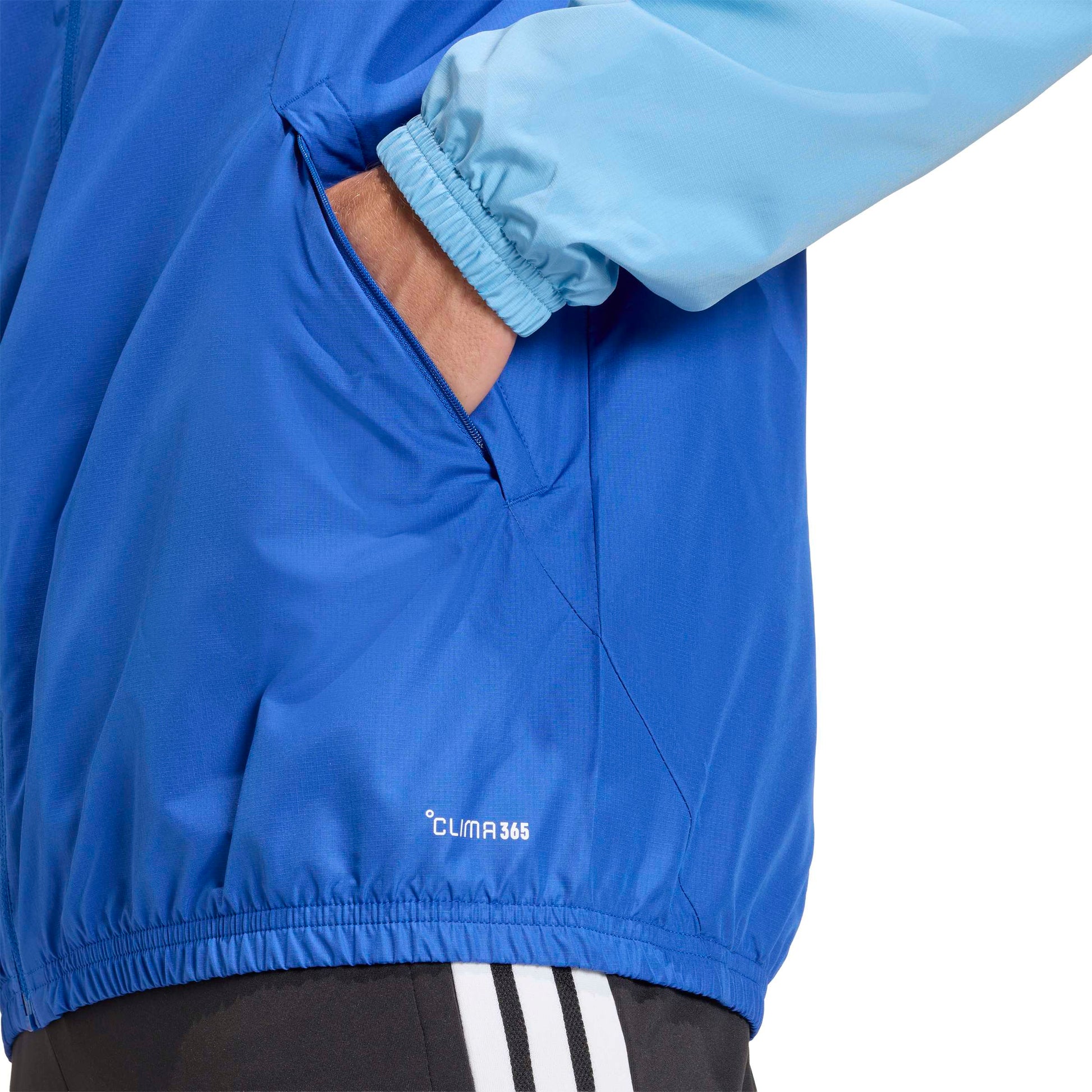 Team Royal Blue/Team Light Blue/White