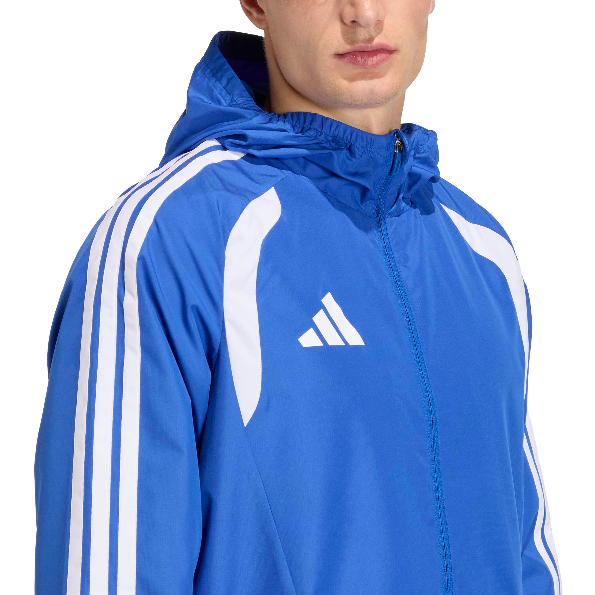 Team Royal Blue/Team Light Blue/White
