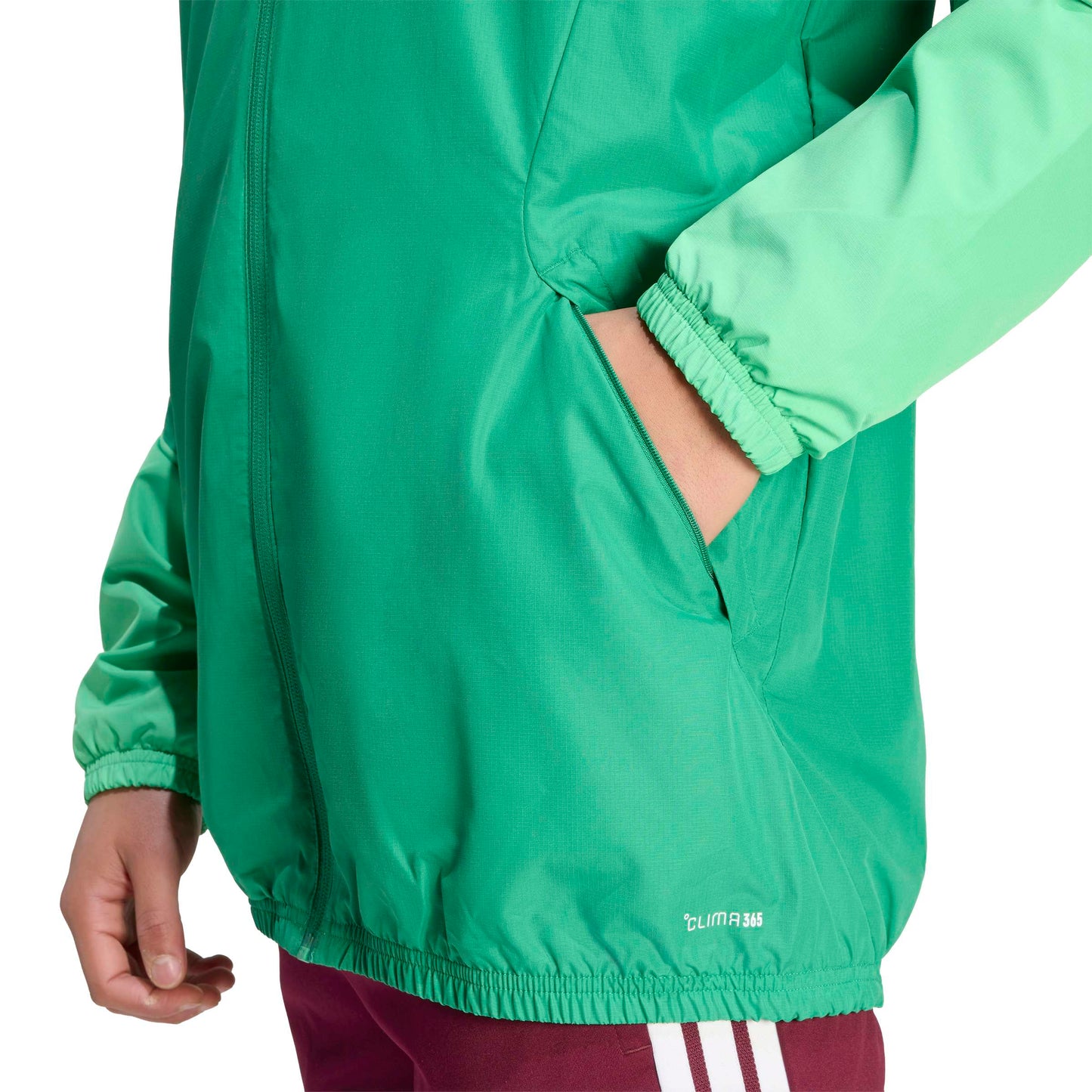 Team Green/Semi Screaming Green/White