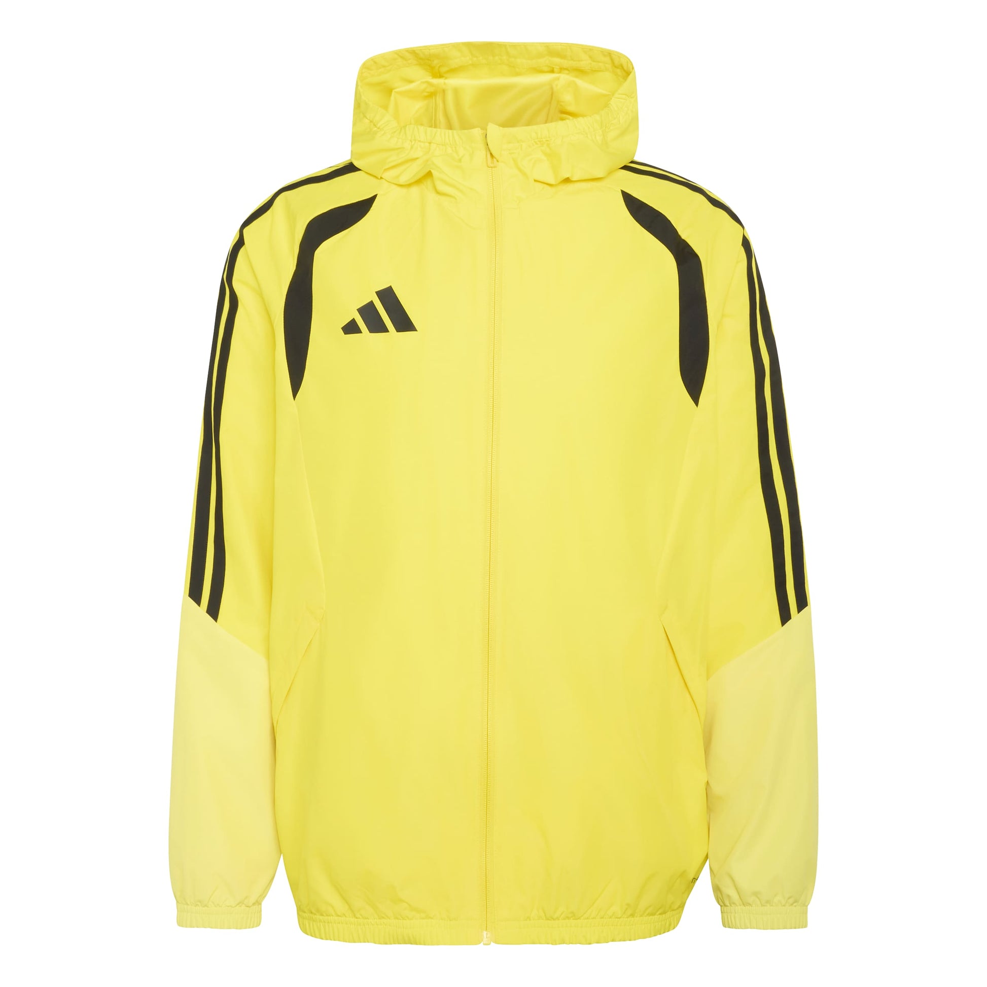 Team Yellow/Light Yellow/Black